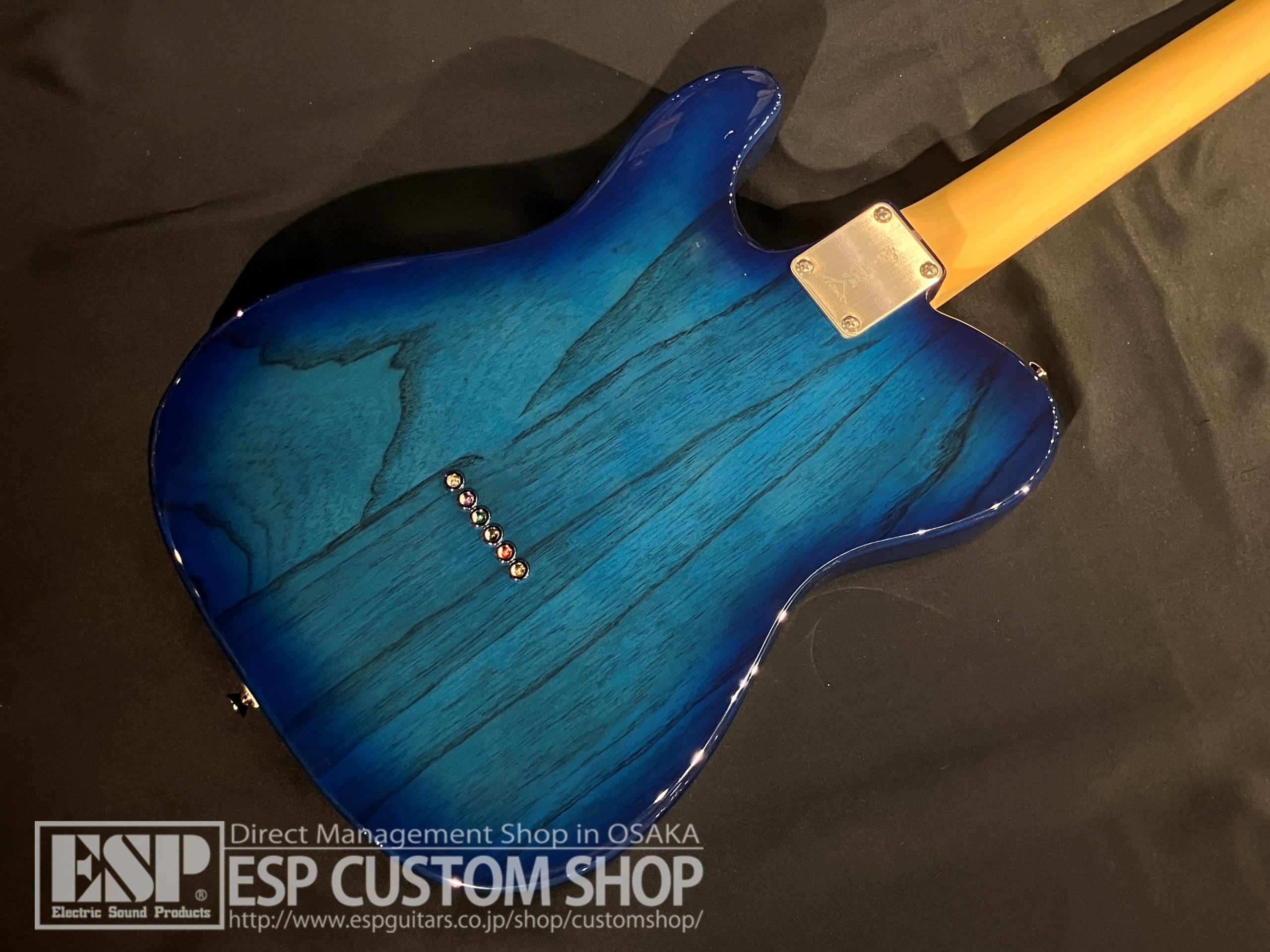 【即納可能】FUJIGEN(FGN) NTE100MAH See-Thru Blue Burst 大阪店