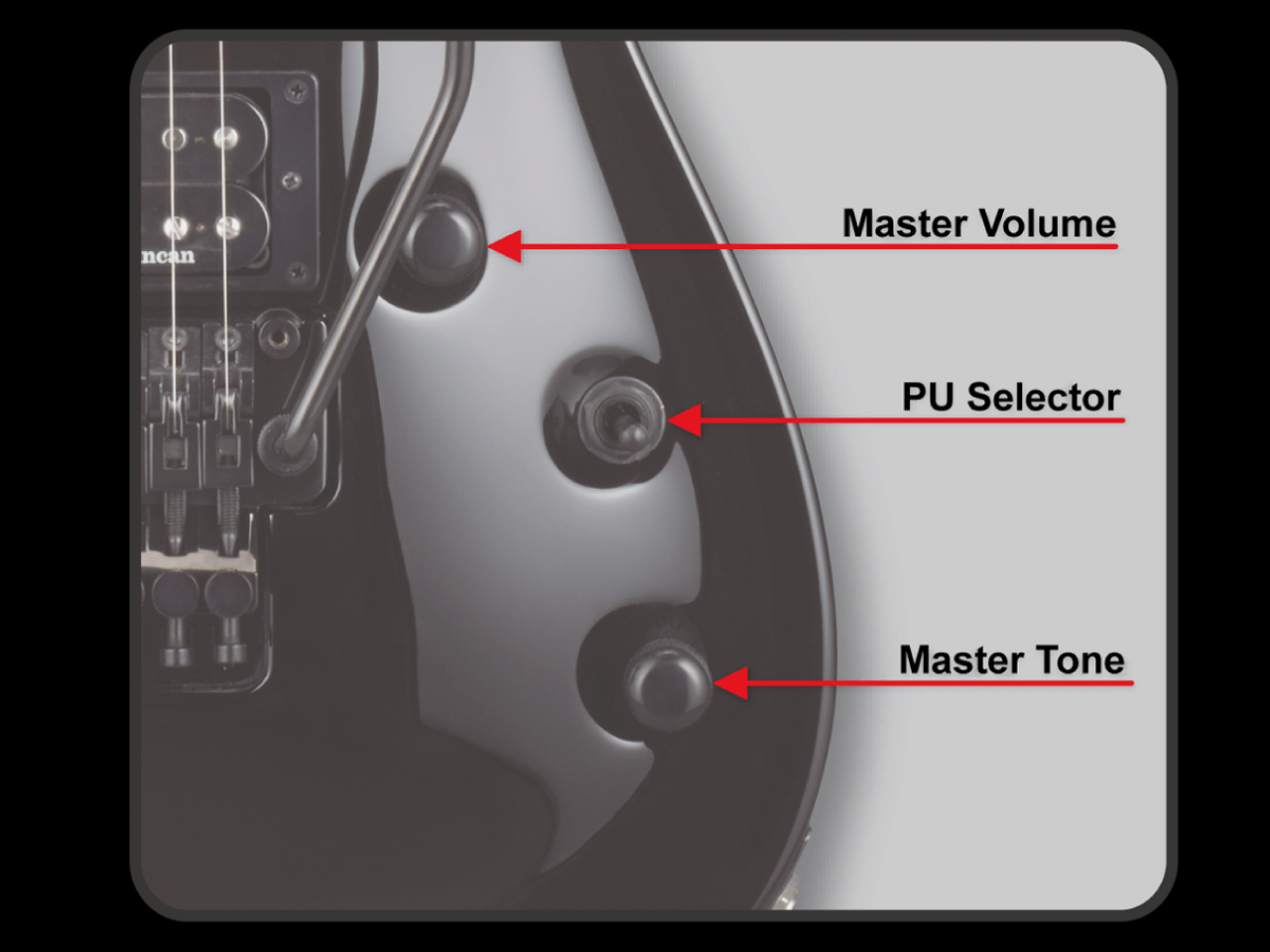【受注生産】ESP(イーエスピー) HORIZON-I HH - 4