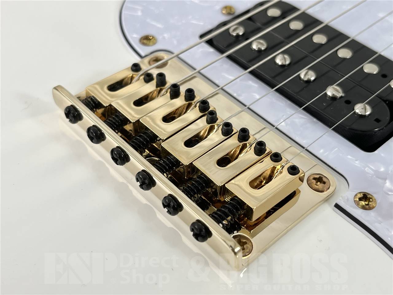 GrassRoots (グラスルーツ) G-SNAPPER-DX / Snow White お茶の水駅前店・別館 - 3