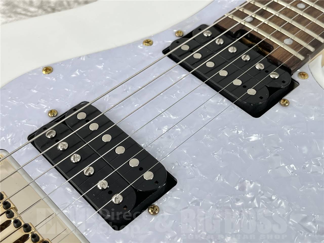 GrassRoots (グラスルーツ) G-SNAPPER-DX / Snow White お茶の水駅前店・別館 - 4