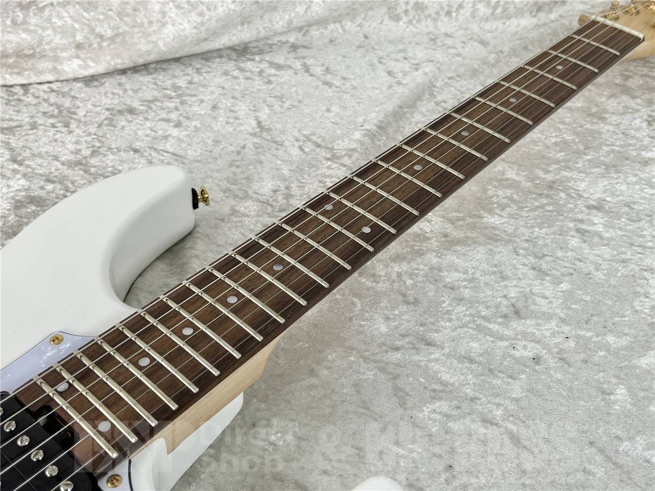 GrassRoots (グラスルーツ) G-SNAPPER-DX / Snow White お茶の水駅前店・別館 - 5