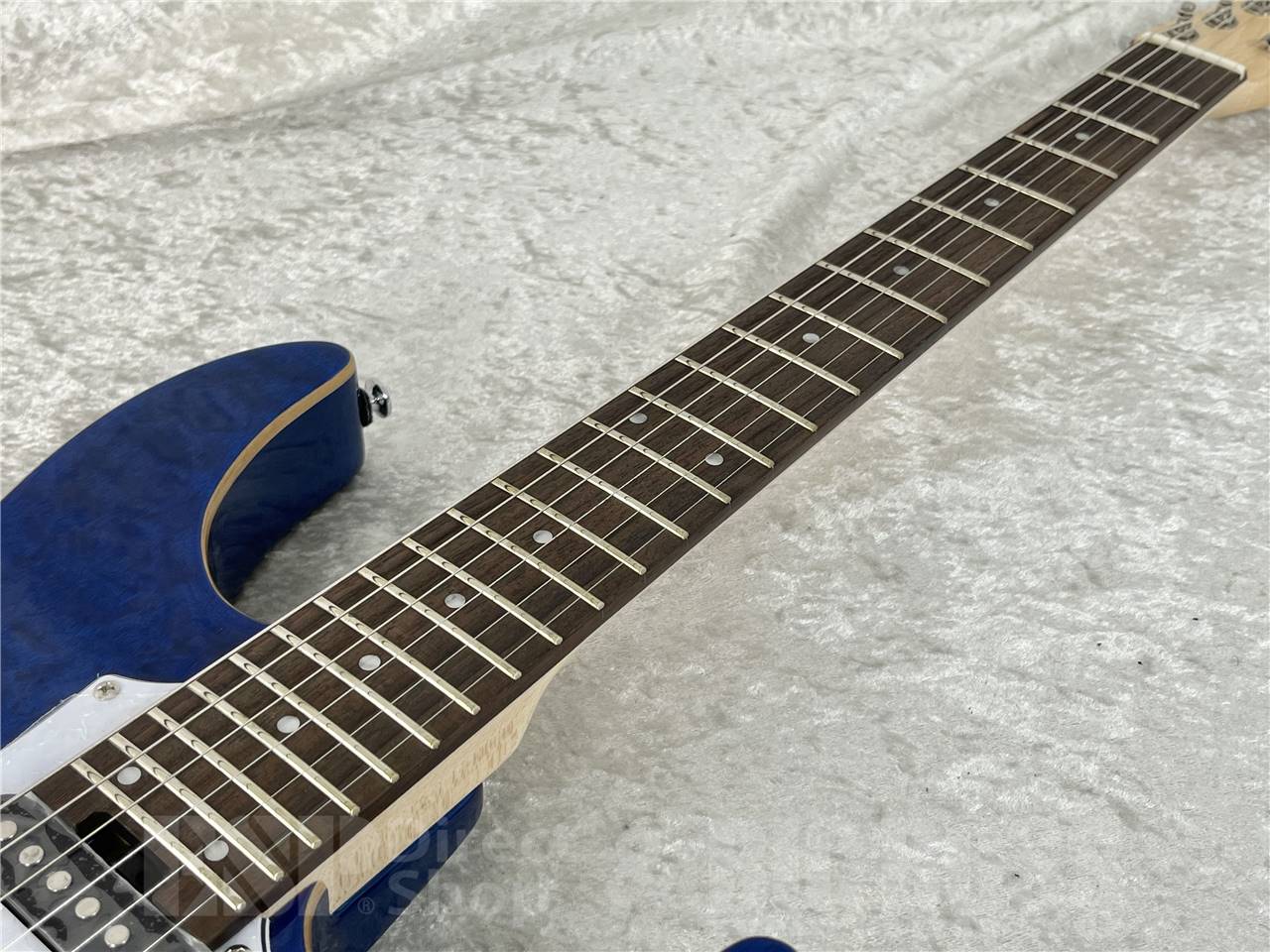 【即納可能/中古品】GrassRoots (グラスルーツ) G-SNAPPER-CTM / See Through Blue お茶の水駅前店・別館 - 5