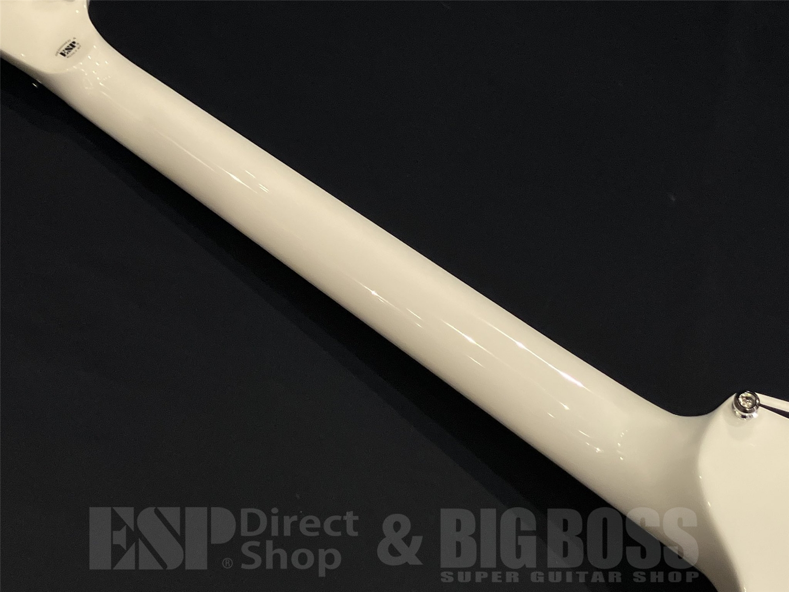 【即納可能】EDWARDS(エドワーズ) E-ALEXI SCYTHE 京都店 - 10