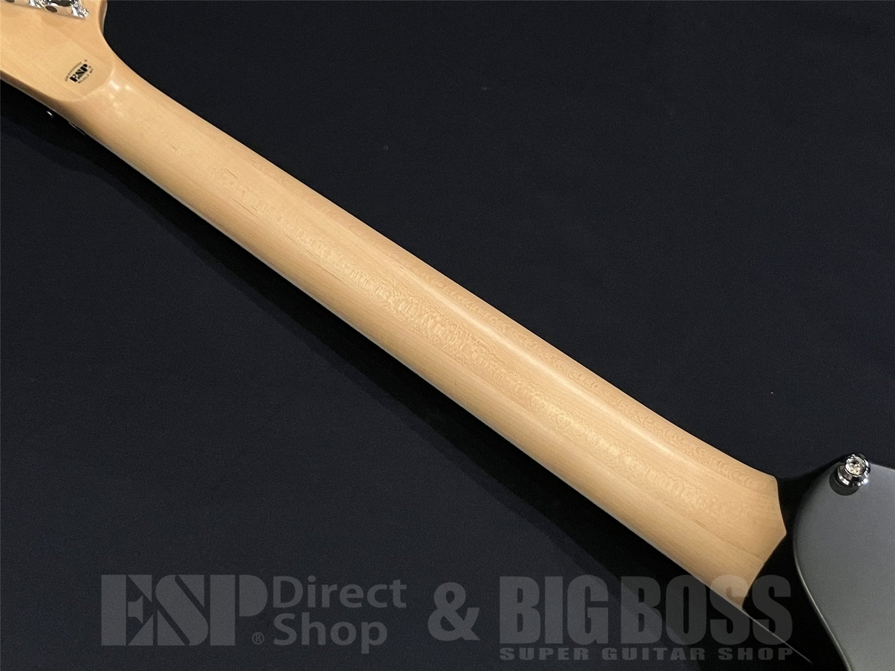 【即納可能】E-II(イーツ―) ALEXI RIPPED (BODOM AFTER MIDNIGHT/Alexi Laihoモデル) 京都店 - 10