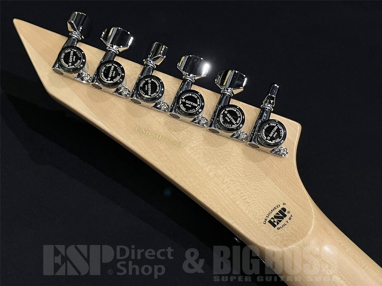 【即納可能】E-II(イーツ―) ALEXI RIPPED (BODOM AFTER MIDNIGHT/Alexi Laihoモデル) 京都店 - 11