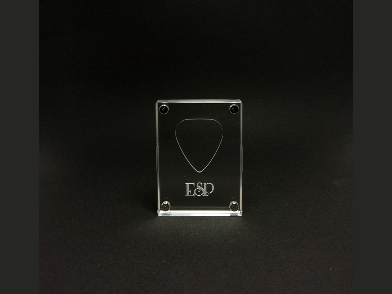 ESP(イーエスピー) PICK MONOLITH for SUGIZO / PM-ST-SGZ