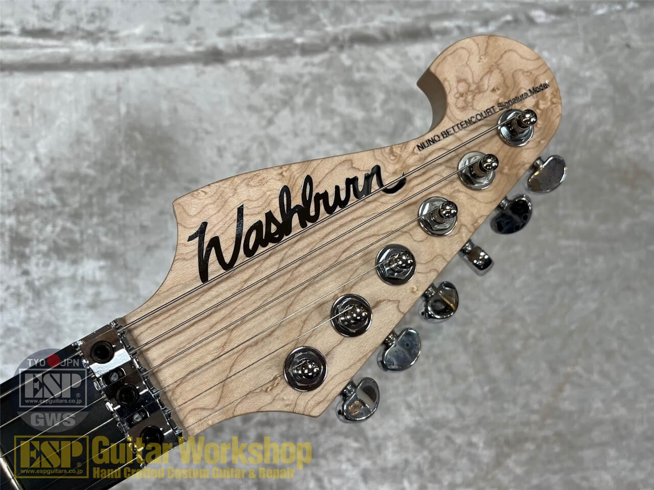 【即納可能】Washburn N4-NUNO VINTAGE GWS