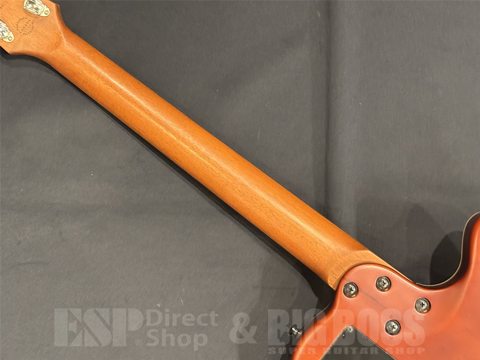 【USED / 即納可能】Godin(ゴダン) A6 ULTRA Natural SG Left-Handed 京都店 - 10