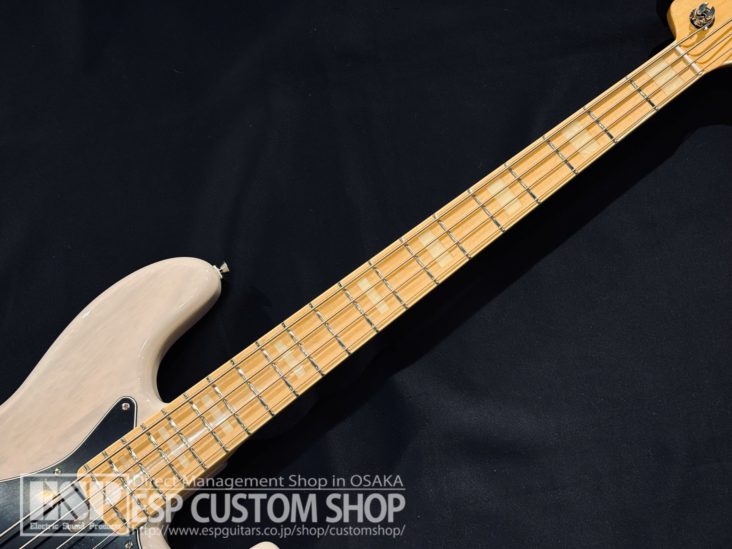 【即納可能/アウトレット】FUJIGEN(フジゲン) NJB100MBAH-WB / 大阪店 - 4