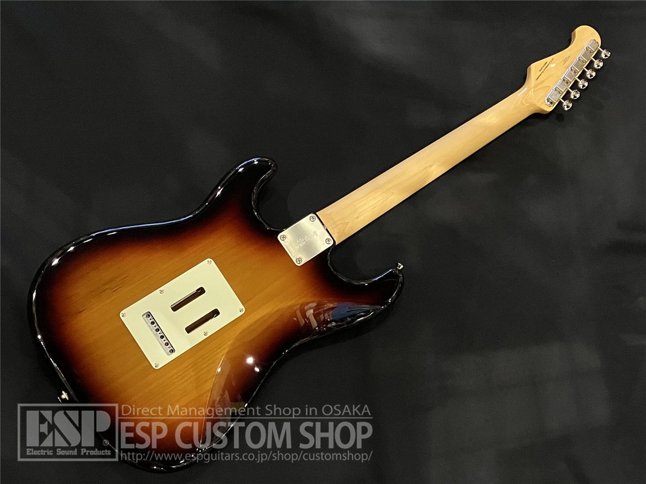 【即納可能/アウトレット】FUJIGEN(FGN) NST100RAL / 3TS 大阪店 - 5