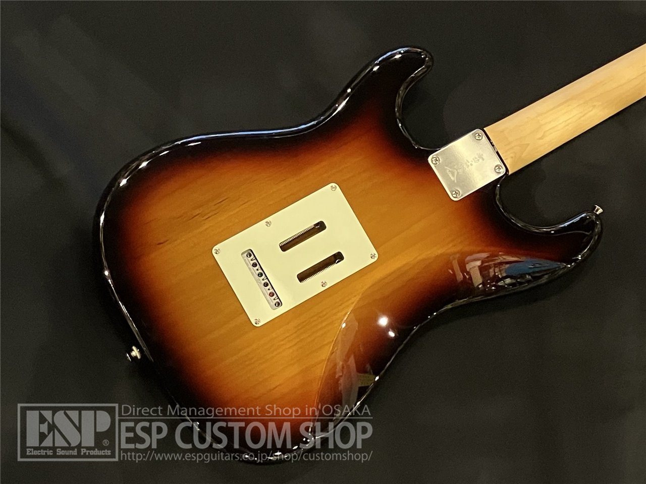 【即納可能/アウトレット】FUJIGEN(FGN) NST100RAL / 3TS 大阪店 - 6