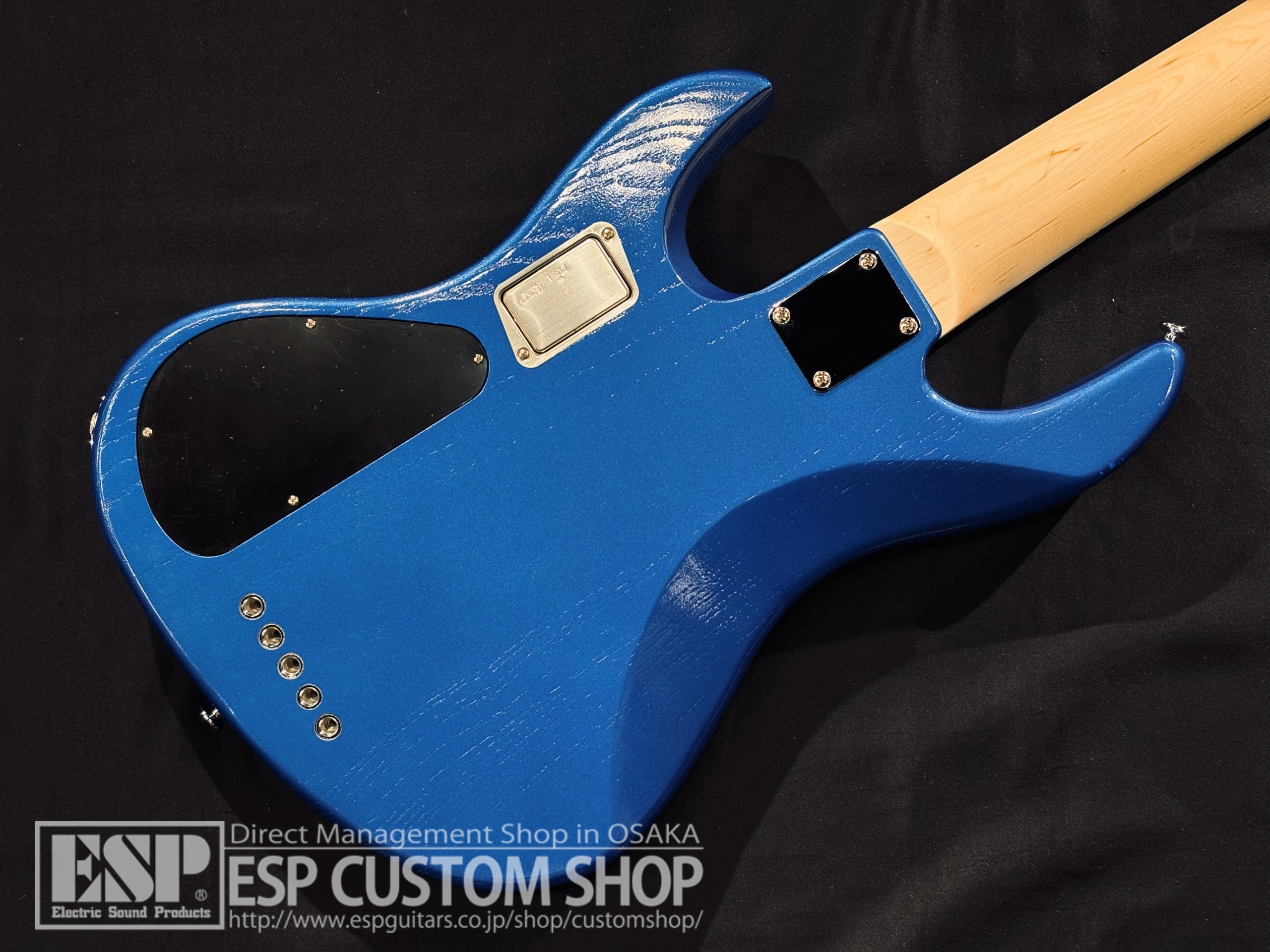 【即納可能/アウトレット】EDWARDS(エドワーズ) E-AMAZE-AS-5/M / Solid Metallic Blue 大阪店 - 7
