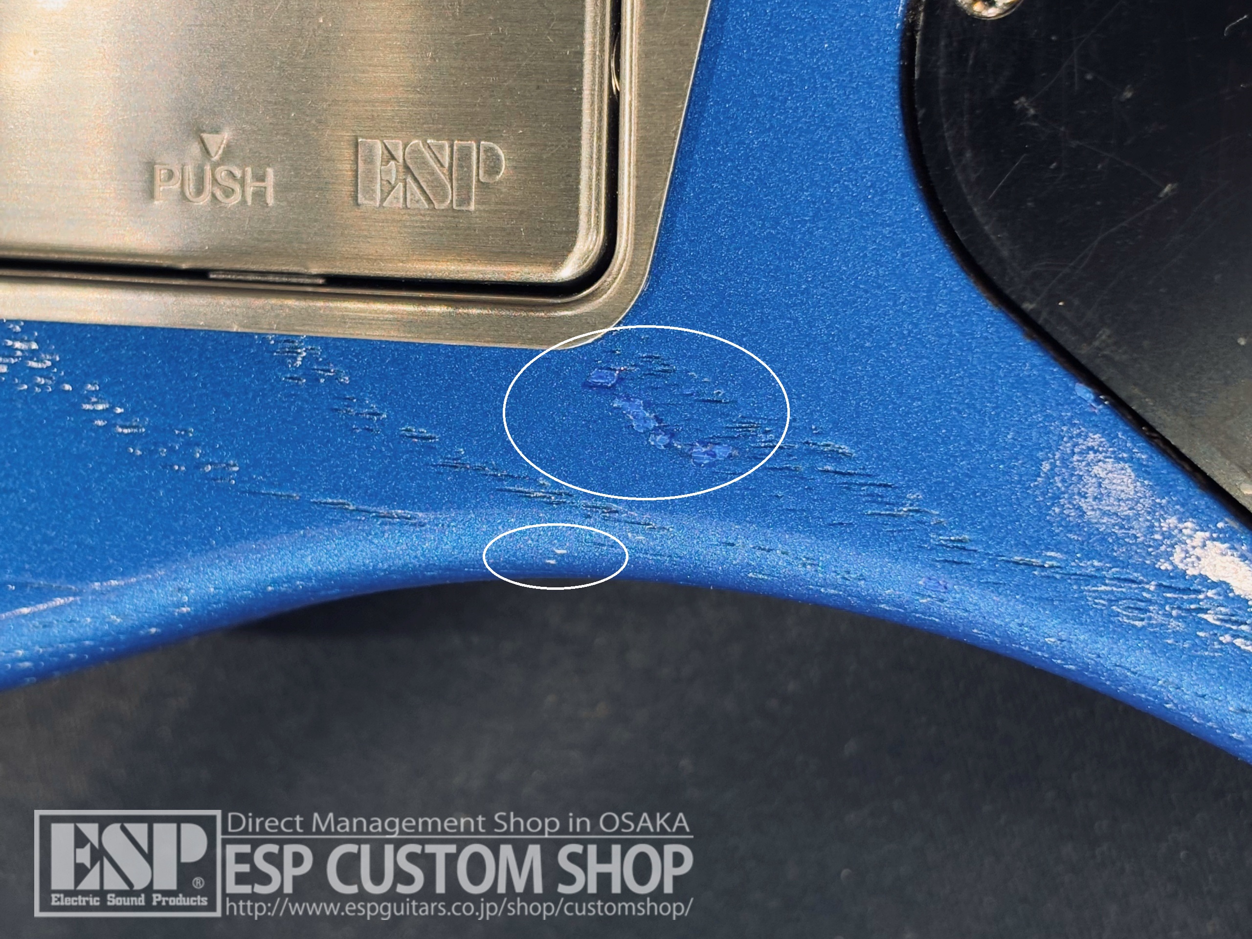 【即納可能/アウトレット】EDWARDS(エドワーズ) E-AMAZE-AS-5/M / Solid Metallic Blue 大阪店 - 10