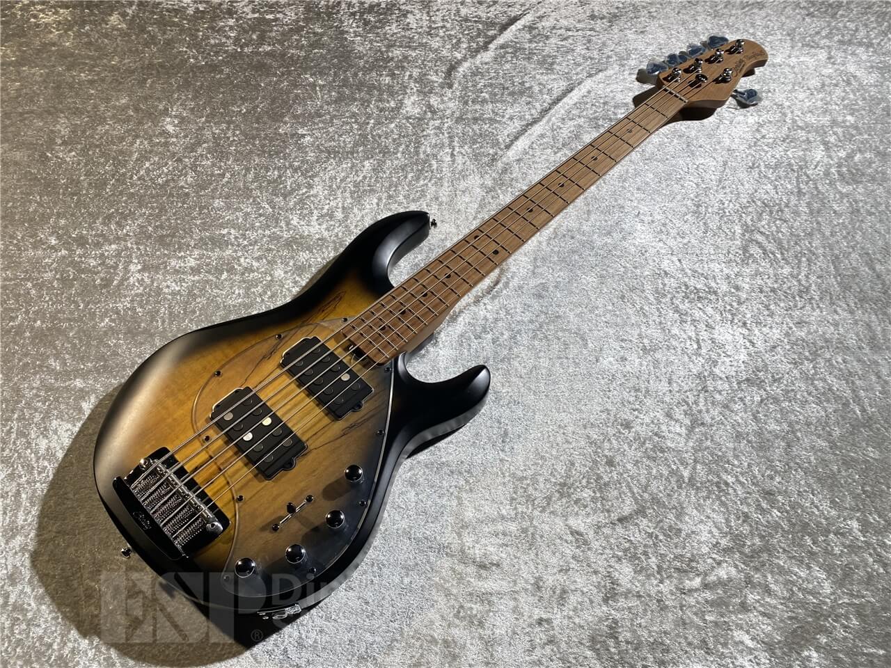 【即納可能】Sterling by MUSIC MAN(スターリンバイミュージックマン) StingRay RAY35 HH Spalted Maple (Natural Burst Satin) 札幌店