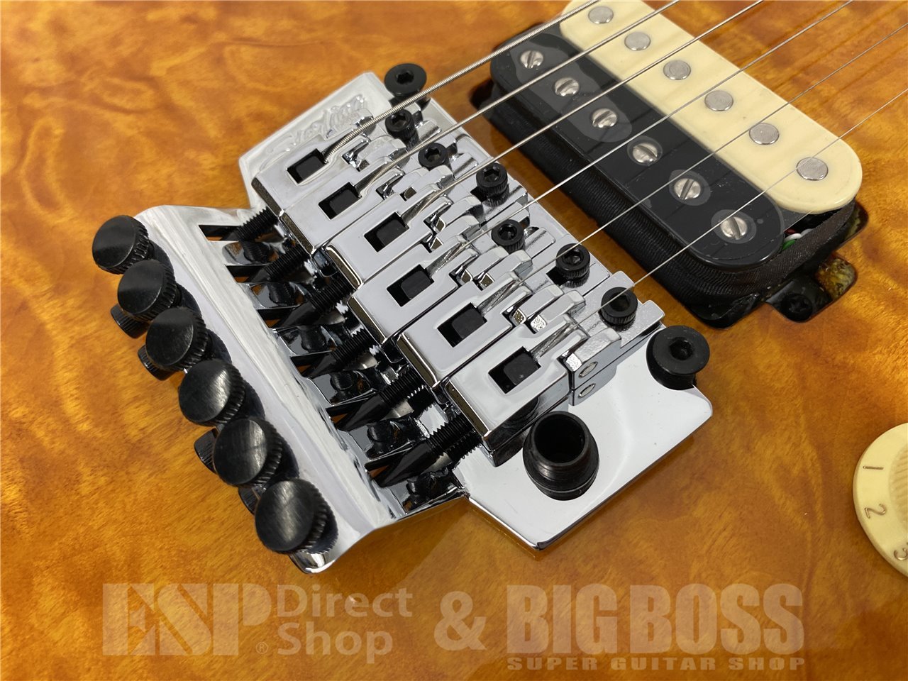 【即納可能】Sterling by MUSICMAN(スターリン バイ ミュージックマン) AXIS AX40-TGO-M / Trans Gold お茶の水駅前店(東京) - 5