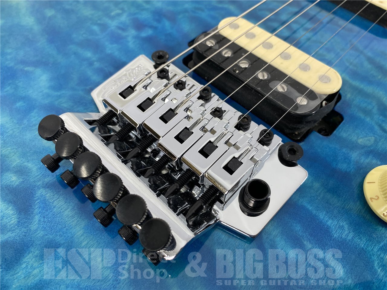【即納可能】Sterling by MUSICMAN(スターリン バイ ミュージックマン) AXIS AX40-TGO-M / Trans Blue お茶の水駅前店(東京) - 5