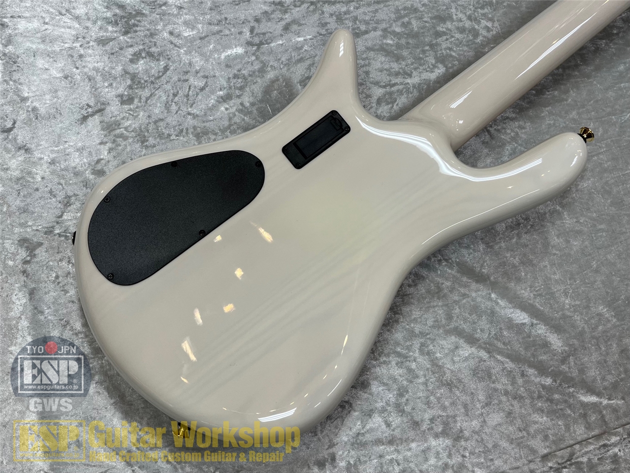 【即納可能】Spector Euro 5 CST Japan Exclusive/ Natural White Burst Gloss  GWS