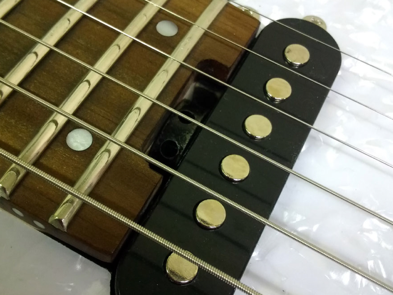 【お取寄せ商品】GrassRoots(グラスルーツ) G-SNAPPER-CTM / See Thru Red - 3