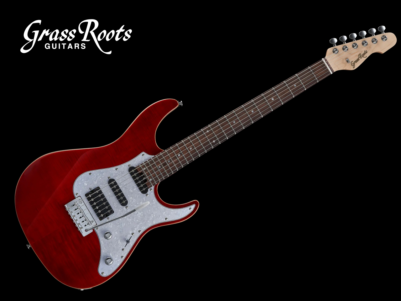 【お取寄せ商品】GrassRoots(グラスルーツ) G-SNAPPER-CTM / See Thru Red