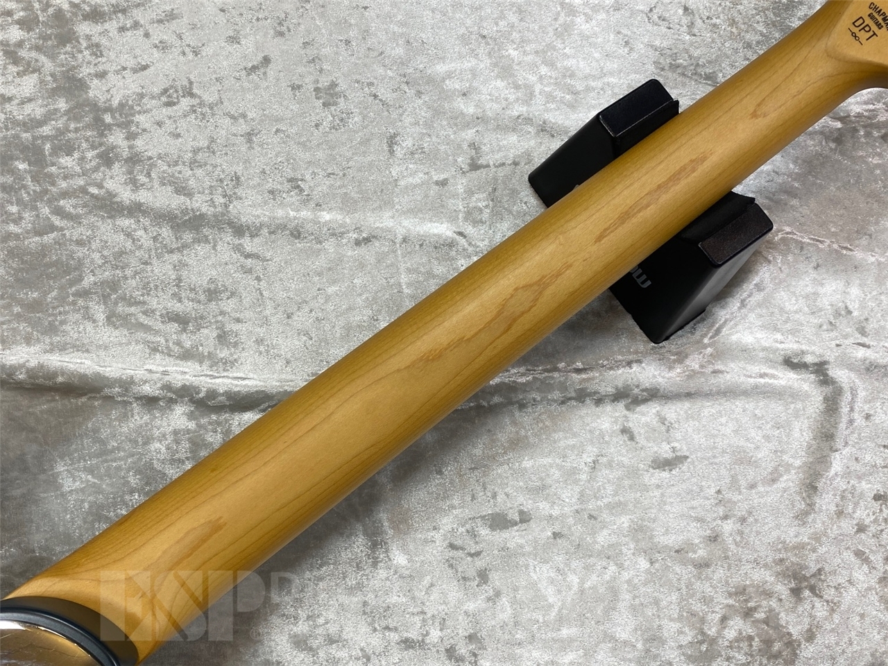 【即納可能】CHAPMAN GUITARS GUITARS DPT GROVE BULE　GWS - 10