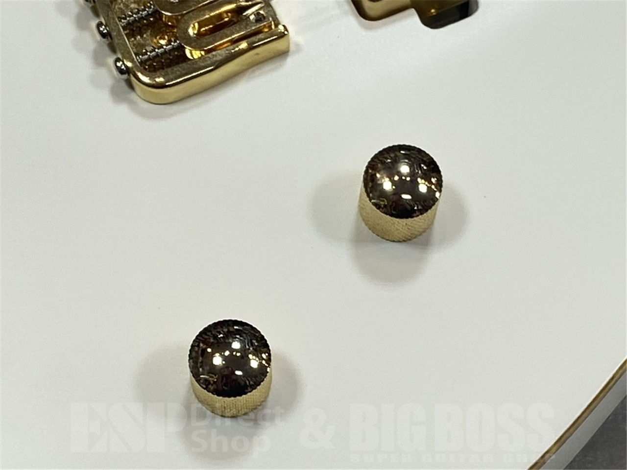 【即納可能】CHAPMAN GUITARS SAR63 STONE WHITE　GWS - 6