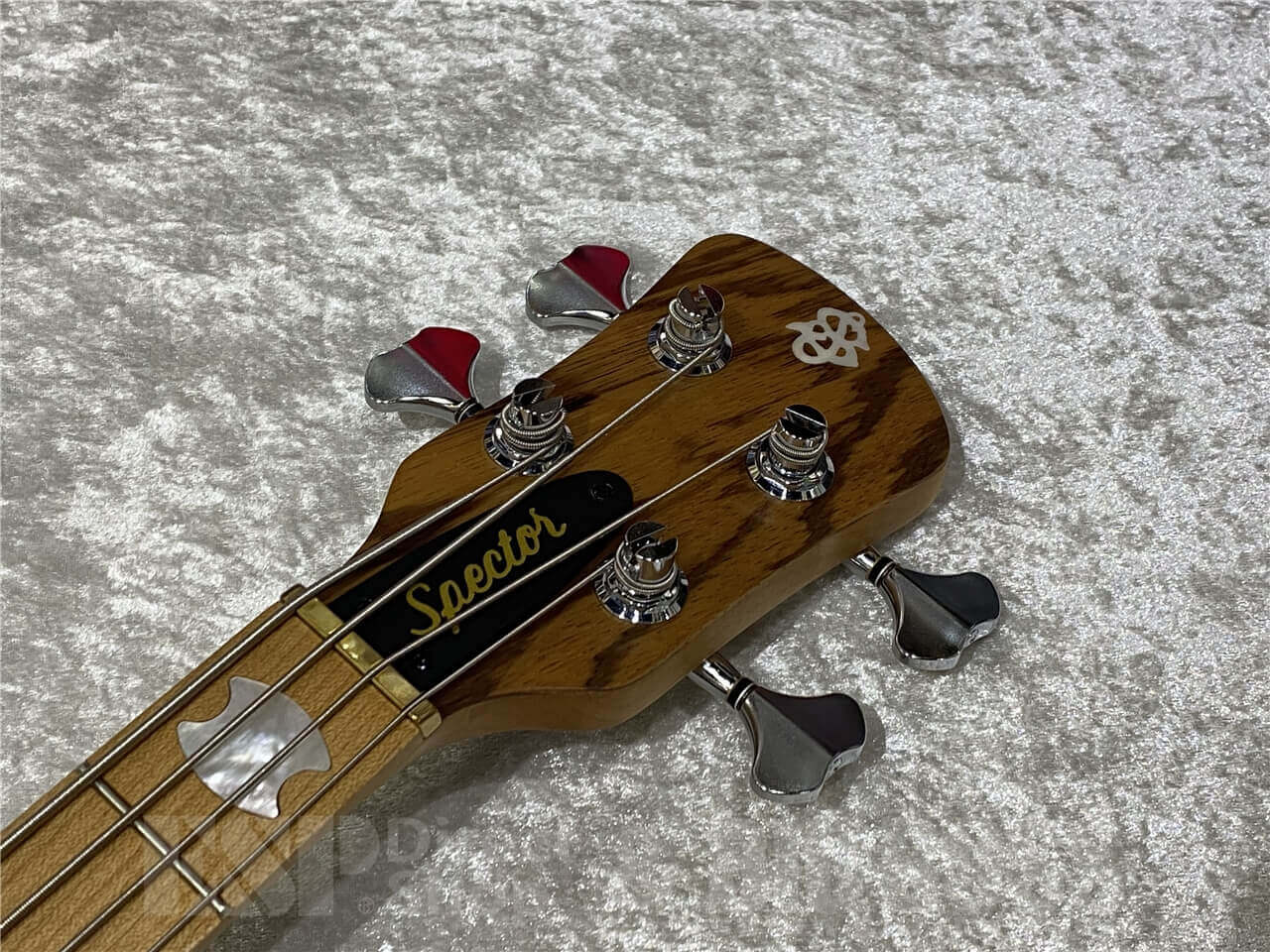 【即納可能/OUTLET/大決算セール】Spector(スペクター) Euro4 RST Zebrawood（Natural Matte） 札幌店 - 5