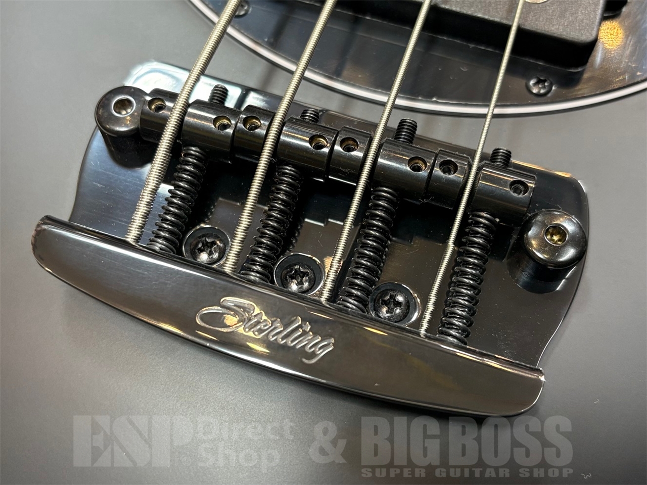 【即納可能】Sterling by MUSIC MAN BONGO / Stealth Black GWS - 3