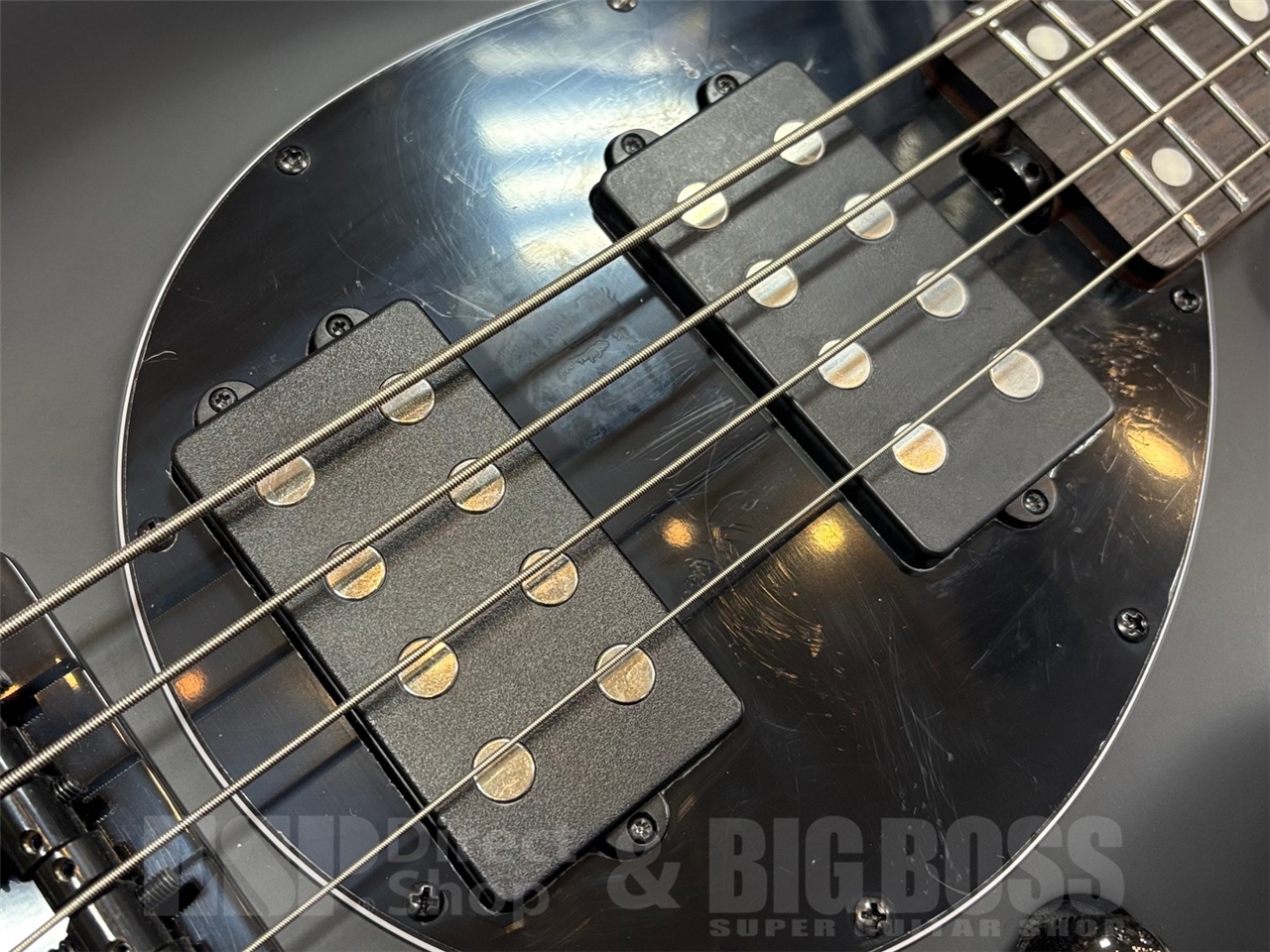 【即納可能】Sterling by MUSIC MAN BONGO / Stealth Black GWS - 4