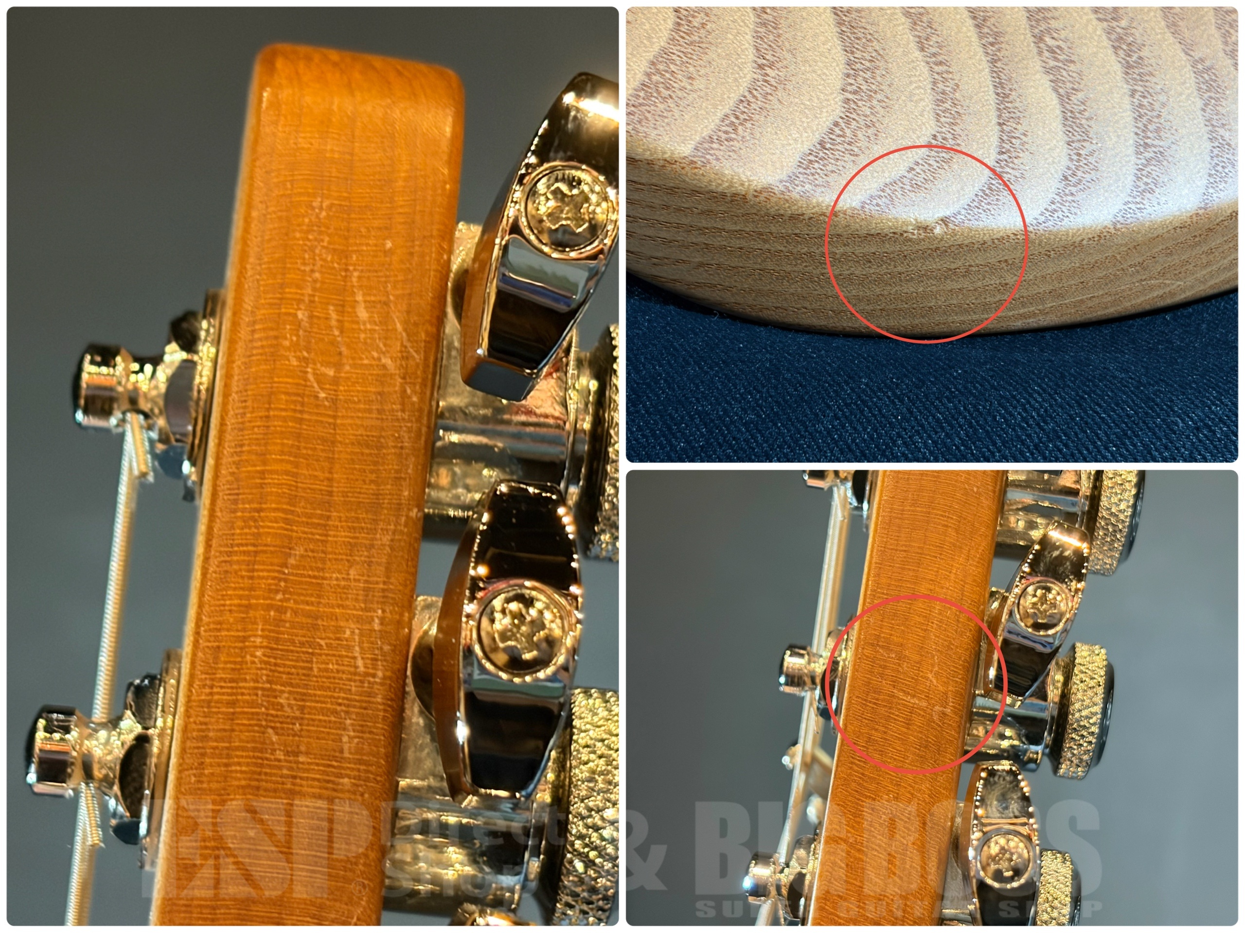 【即納可能/中古品】Charvel Pro-Mod So-Cal Style 2 24 HH 2PT CM Ash 大阪店 - 9