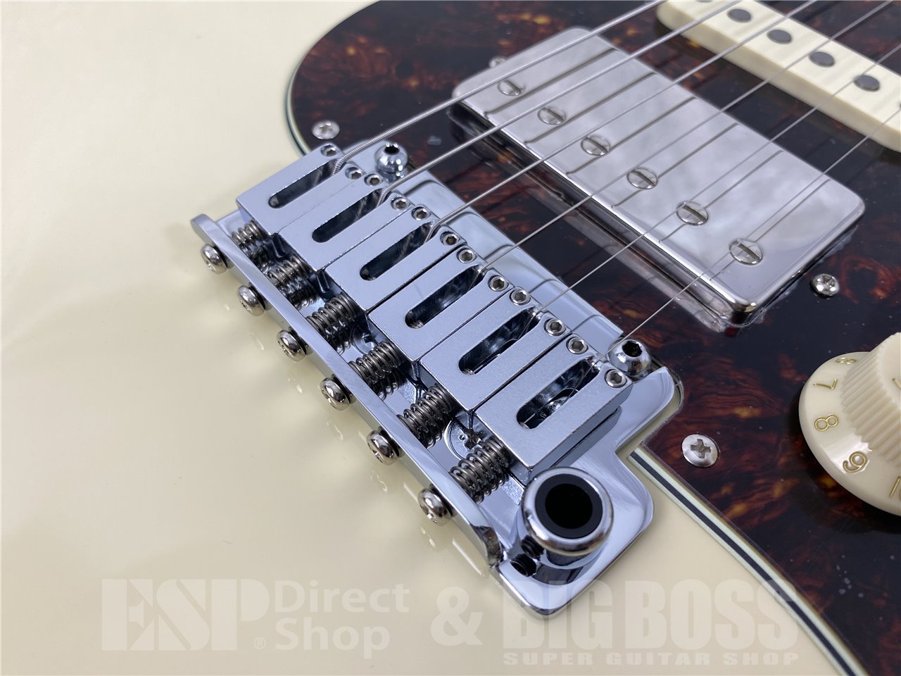 【即納可能】EDWARDS(エドワーズ) E-SNAPPER-AL/R (Off white) お茶の水駅前店(東京) - 8