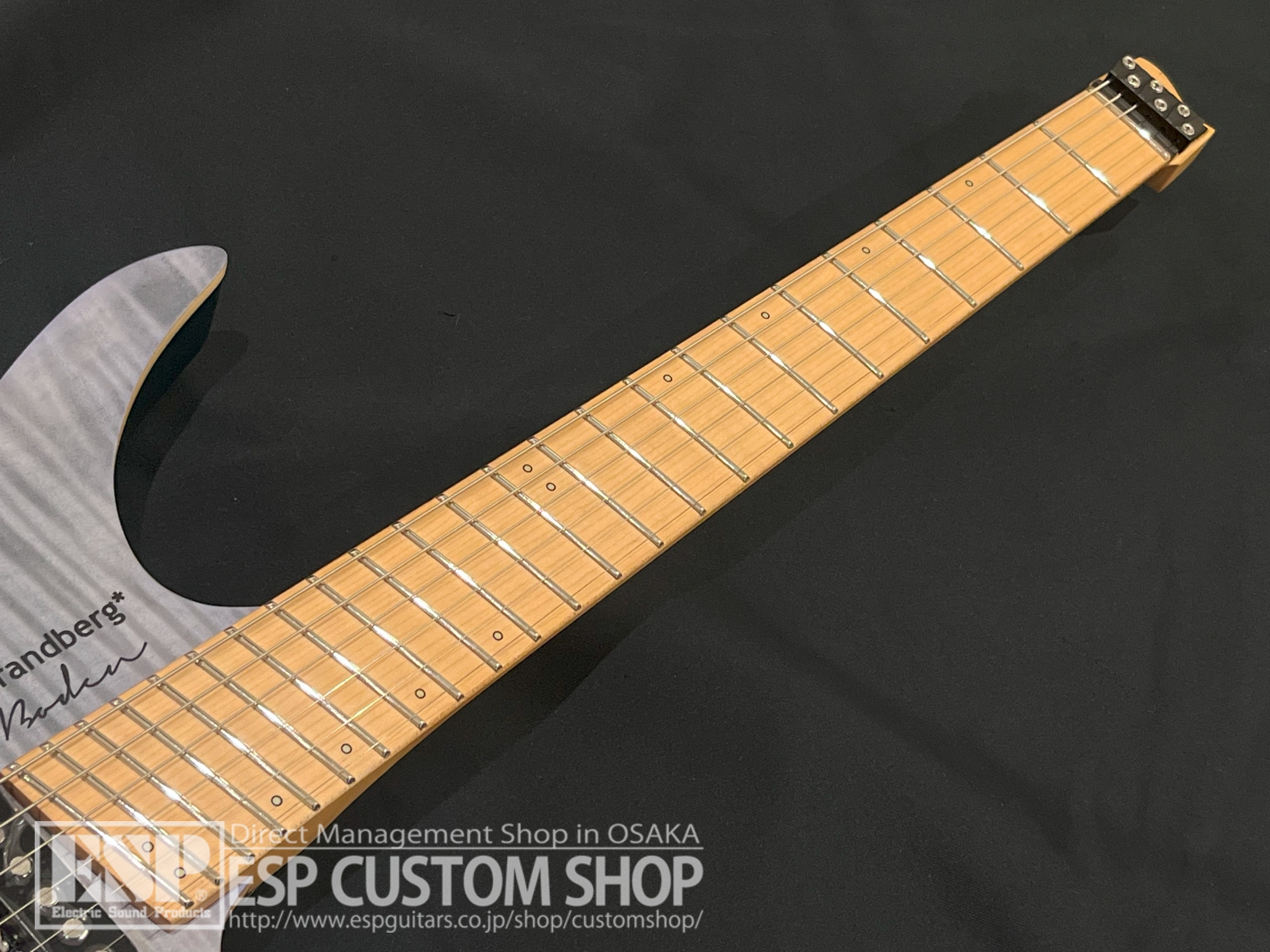 【即納可能】strandberg(ストランドバーグ) Boden Standard NX 6 / Tremolo 【Blue】 大阪店