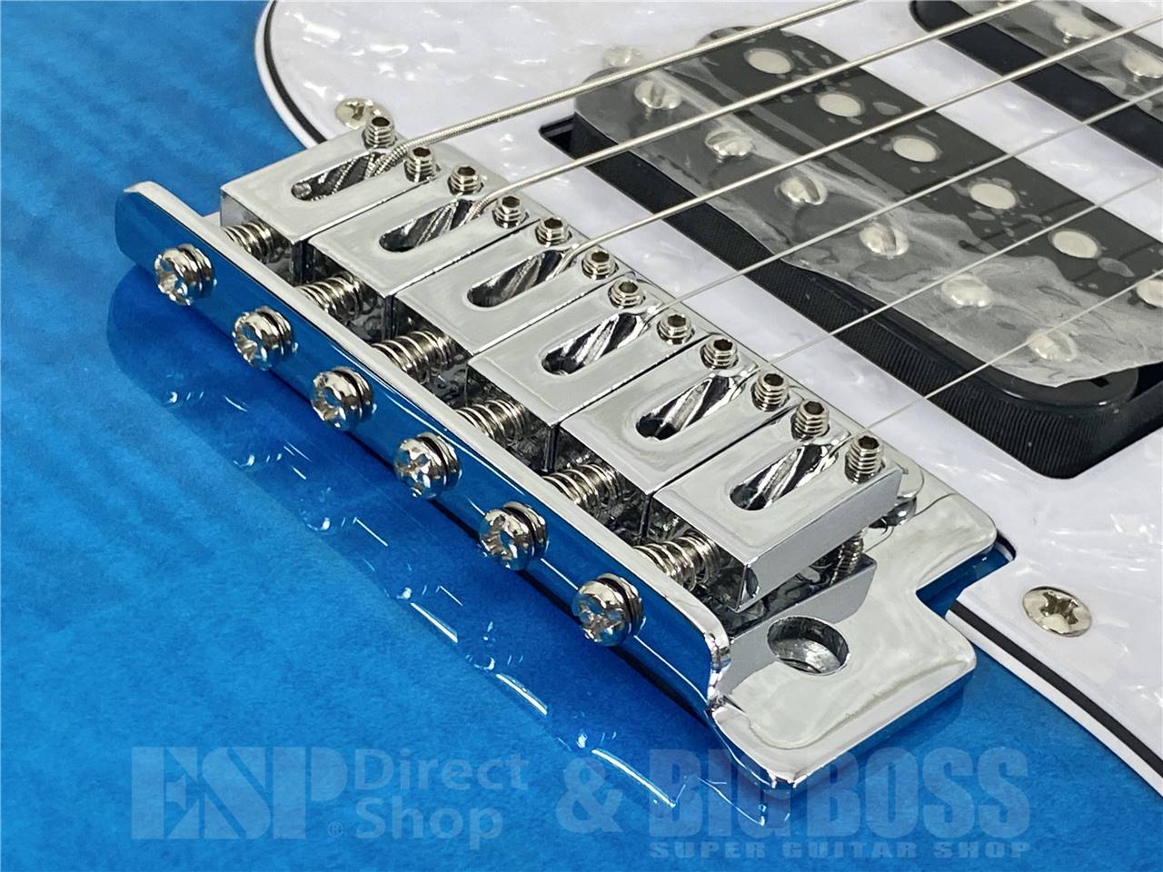 【お取寄せ商品】GrassRoots(グラスルーツ) G-SNAPPER-CTM / See Thru Blue Sunburst - 6