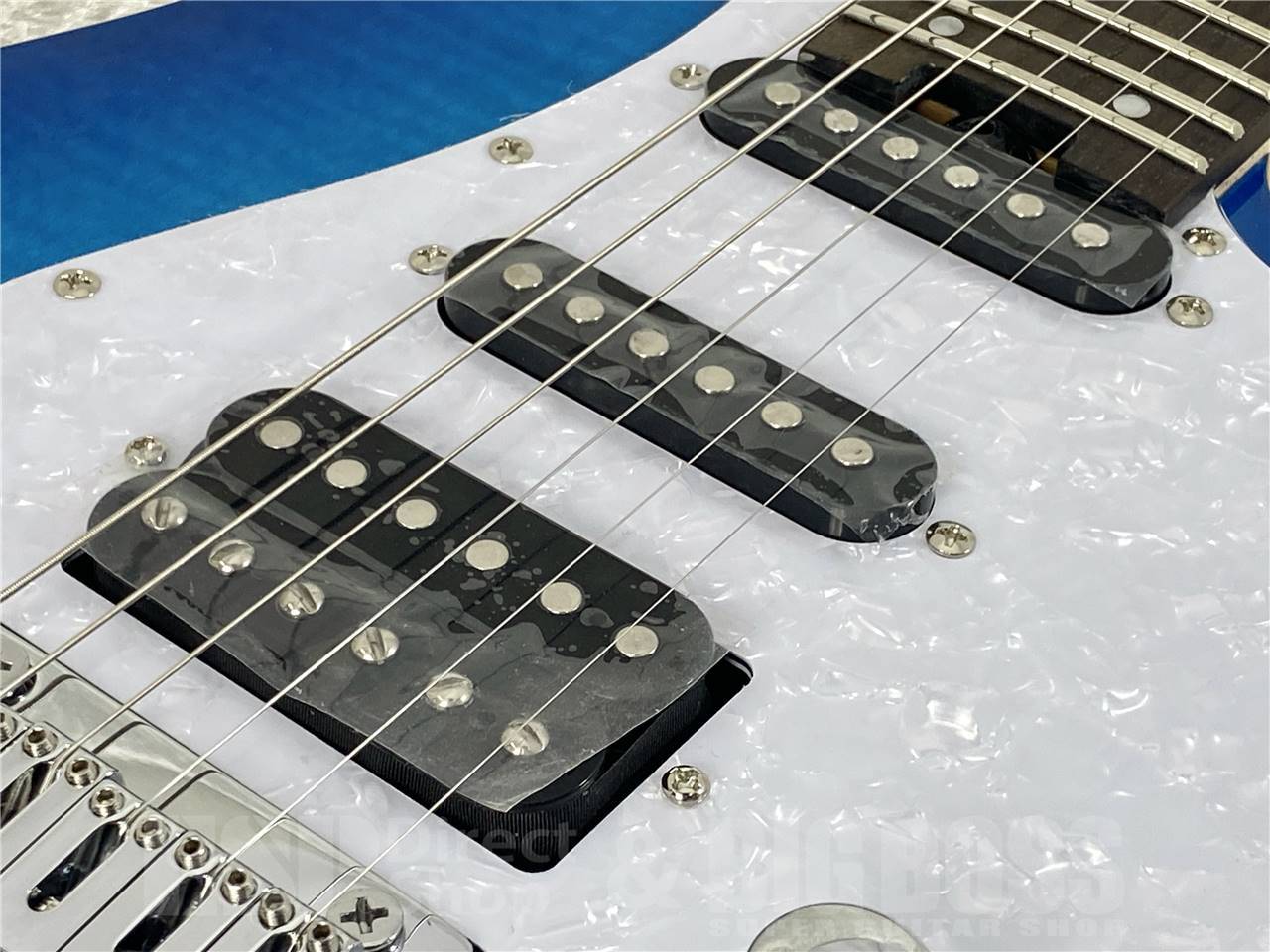 【お取寄せ商品】GrassRoots(グラスルーツ) G-SNAPPER-CTM / See Thru Blue Sunburst - 7