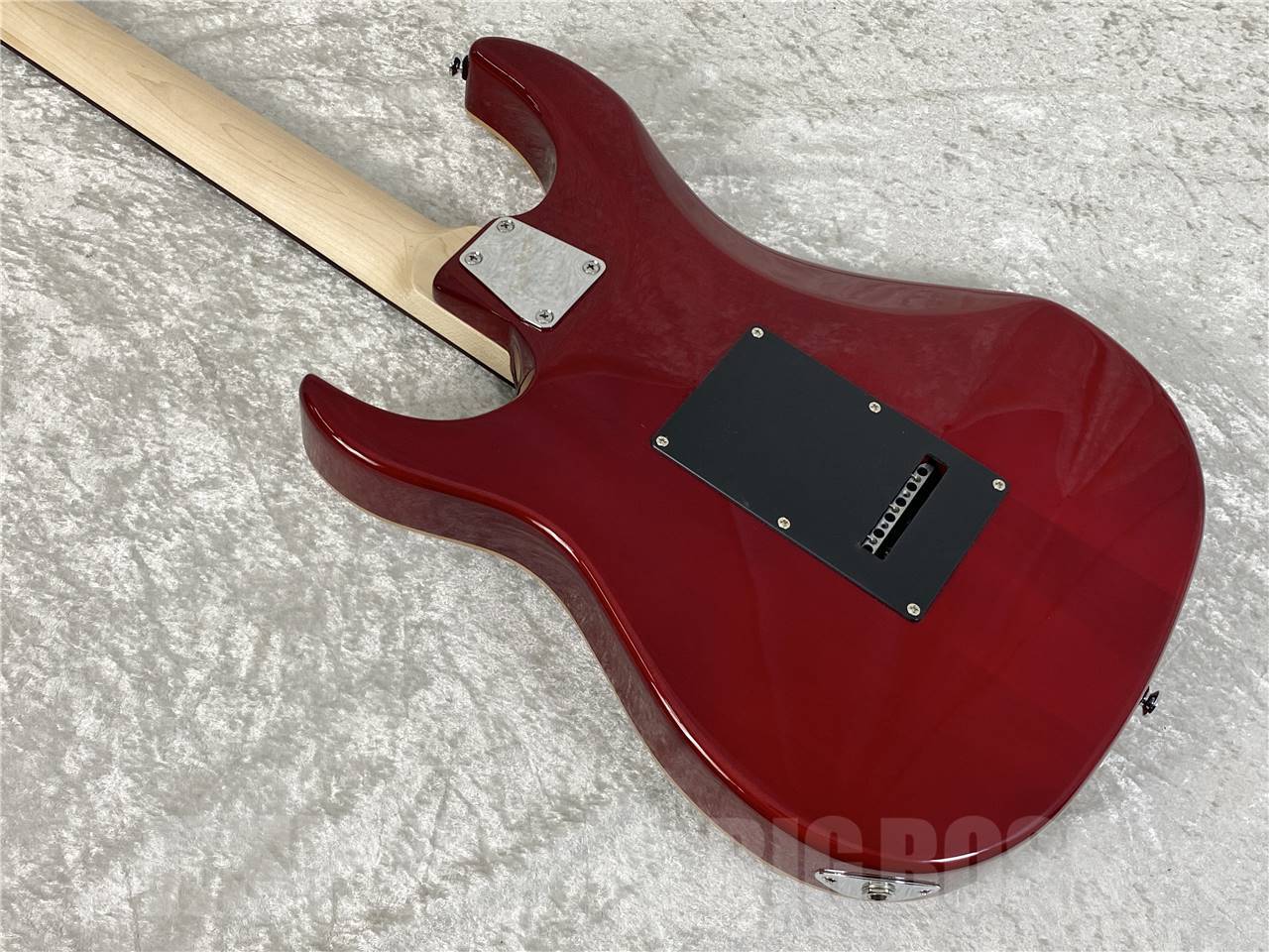 【お取寄せ商品】GrassRoots(グラスルーツ) G-SNAPPER-CTM / See Thru Red - 11