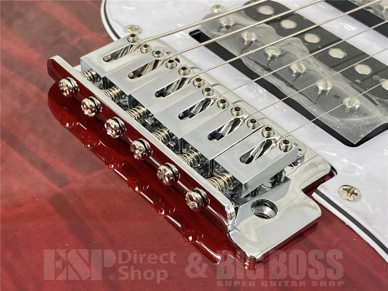 【お取寄せ商品】GrassRoots(グラスルーツ) G-SNAPPER-CTM / See Thru Red - 6