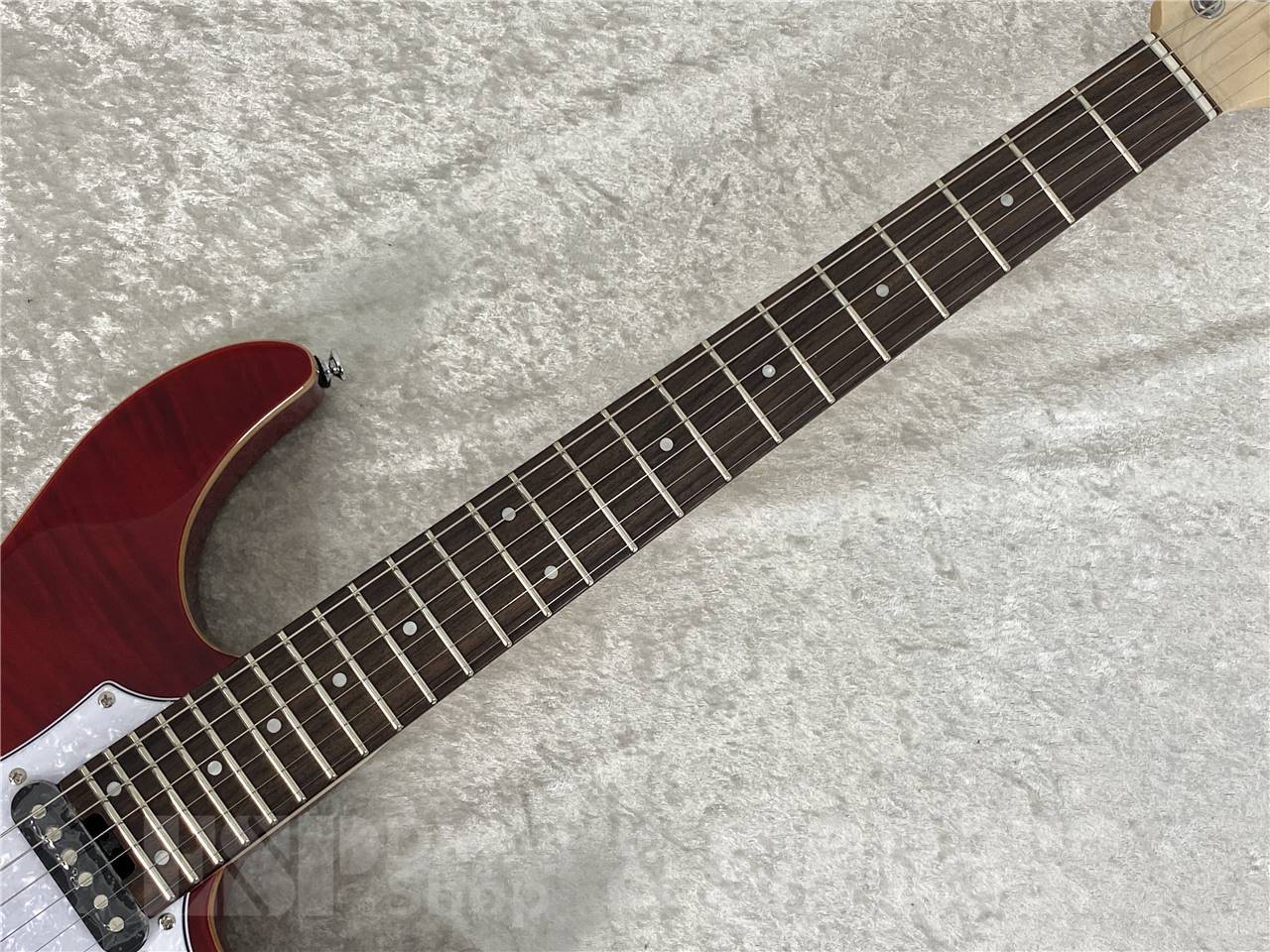 【お取寄せ商品】GrassRoots(グラスルーツ) G-SNAPPER-CTM / See Thru Red - 8