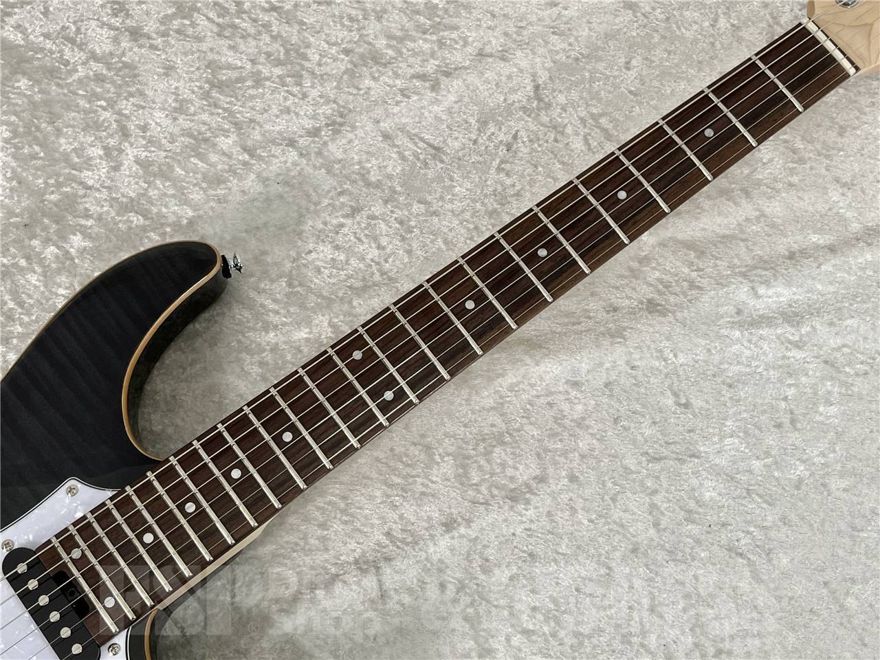 【即納可能】GrassRoots(グラスルーツ) G-SNAPPER-CTM / See Thru Black - 7