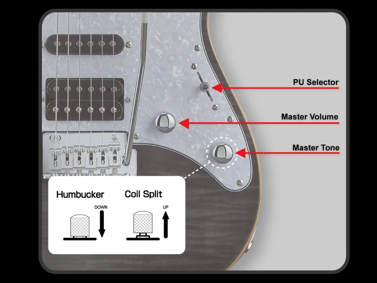 【即納可能】GrassRoots(グラスルーツ) G-SNAPPER-CTM / See Thru Black - 12