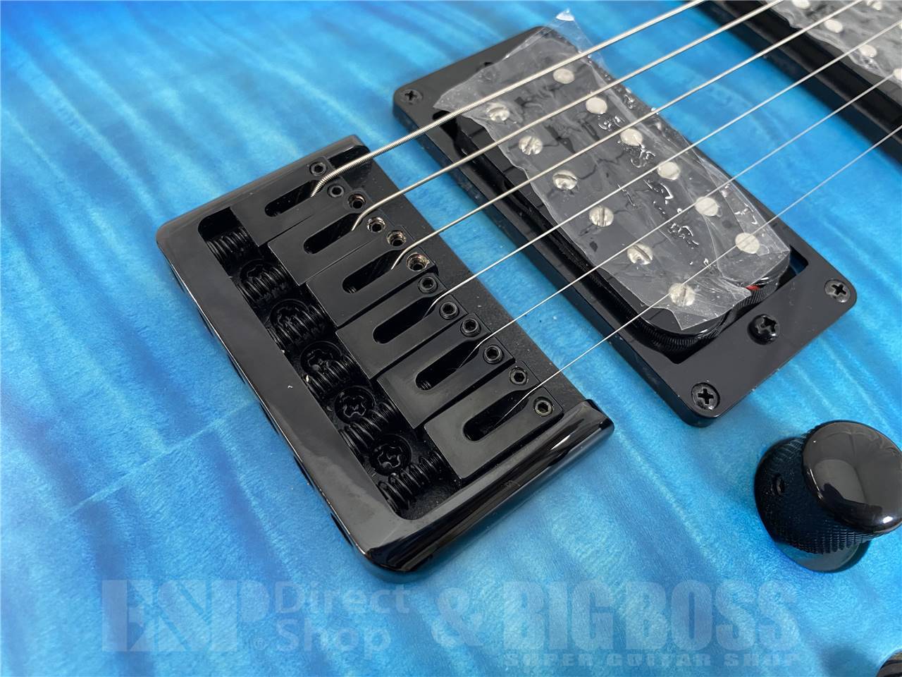 【即納可能】GrassRoots(グラスルーツ) G-HORIZON-FX / See Thru Blue Sunburst Satin - 5