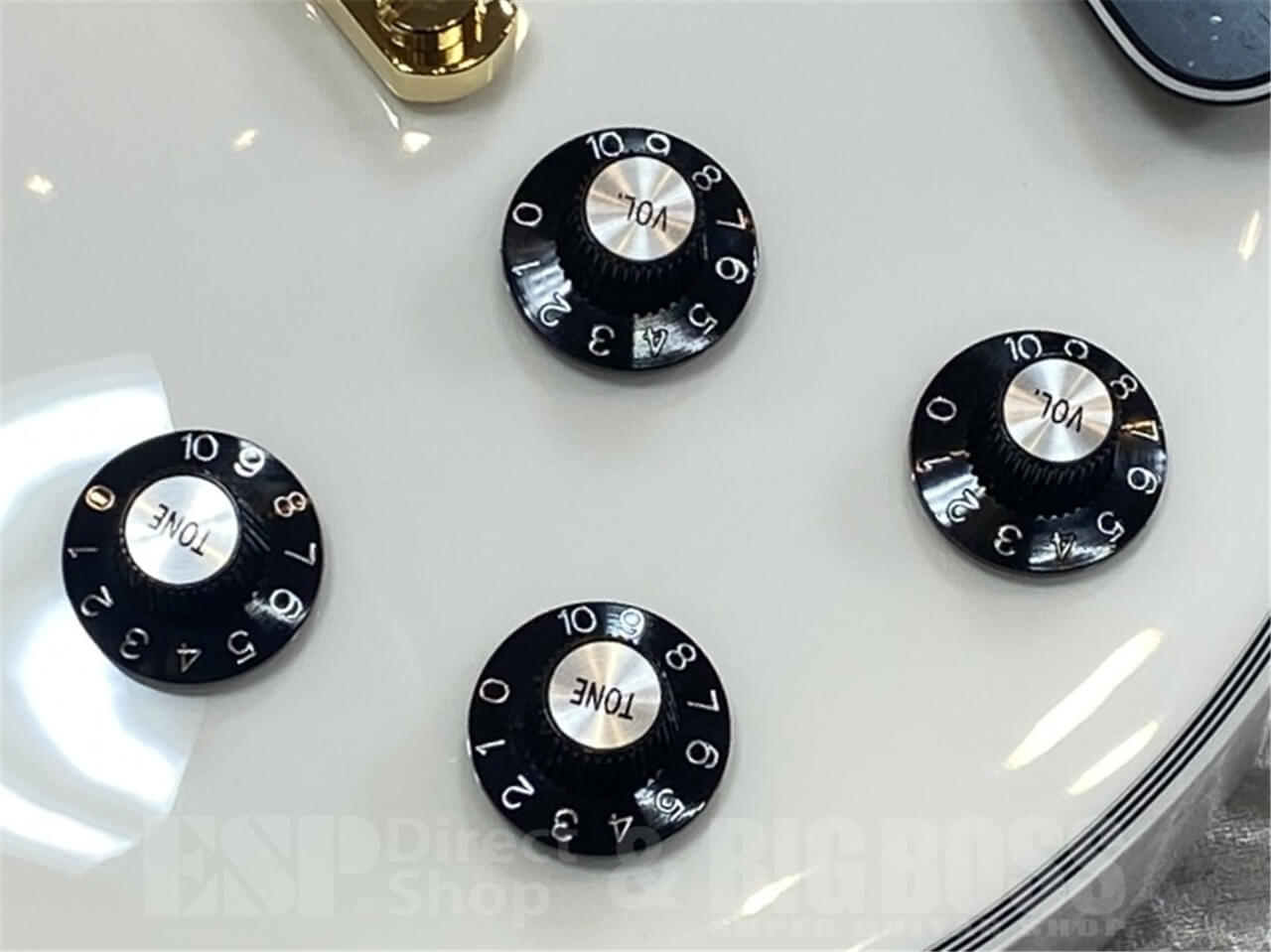 【即納可能】EDWARDS(エドワーズ)E-LP-CTM/WHITE GWS - 5