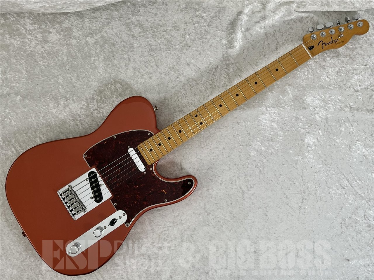 【即納可能/中古品】Fender PLAYER PLUS Telecaster Maple Fingerboard (Aged Candy Apple Red)お茶の水駅前店(東京) - 2