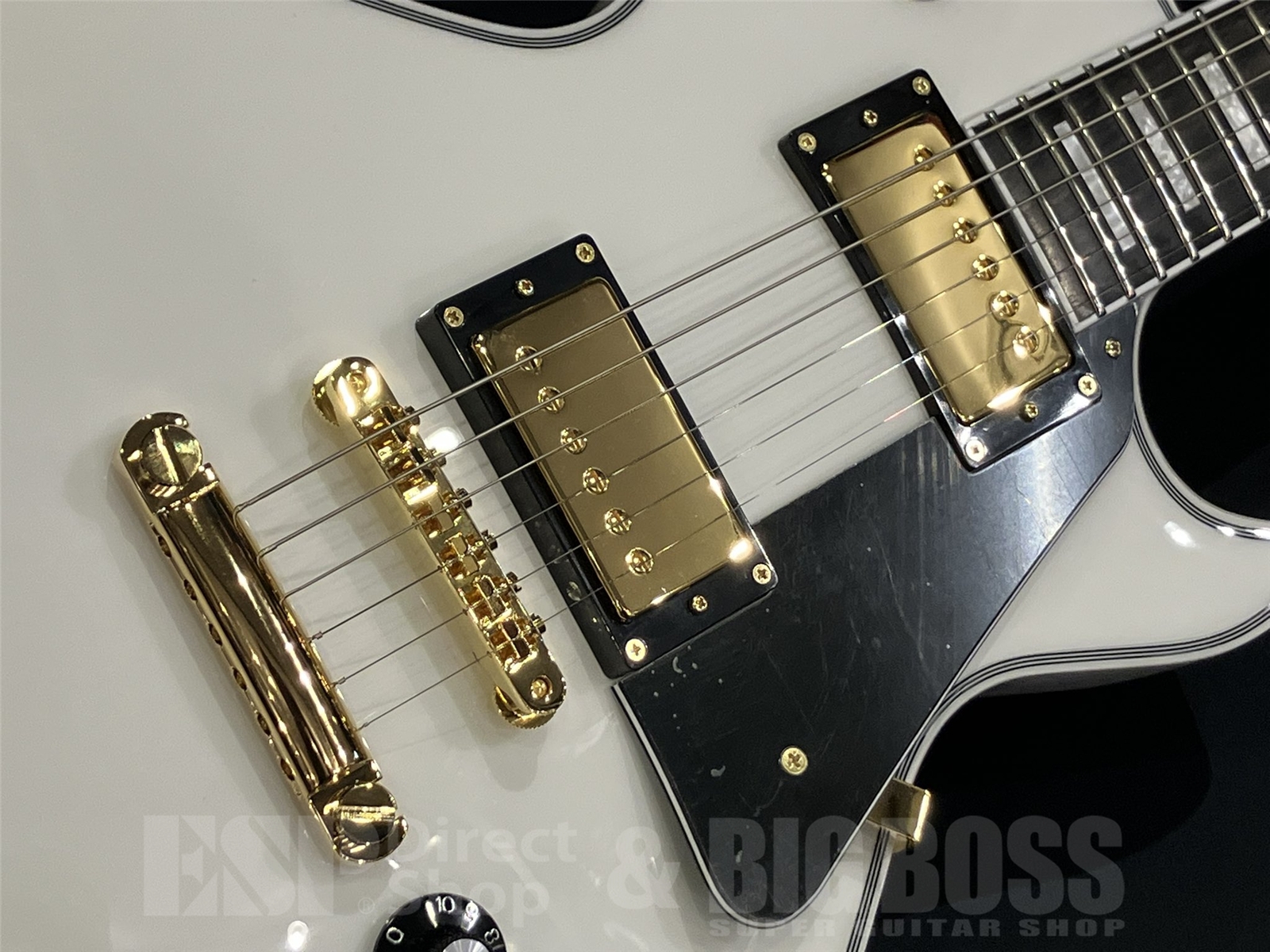 【即納可能】EDWARDS(エドワーズ) E-LP-CTM / White 京都店 - 3