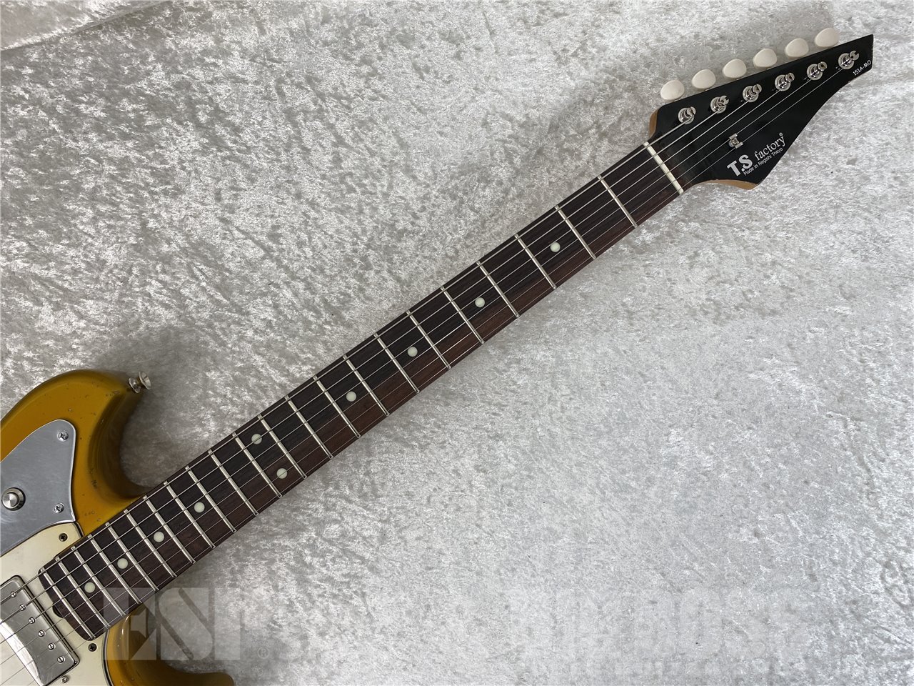 【即納可能】T.S factory(ティーエス ファクトリー) 151A-MO 3Mini-Humbucker(Vintage Gold) お茶の水駅前店 (東京) - 6