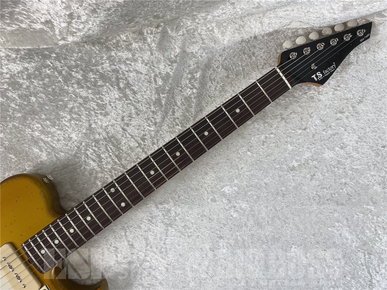 【即納可能】T.S factory(ティーエス ファクトリー) 151A-TSSP2 P-90(Vintage Gold) お茶の水駅前店 (東京) - 6