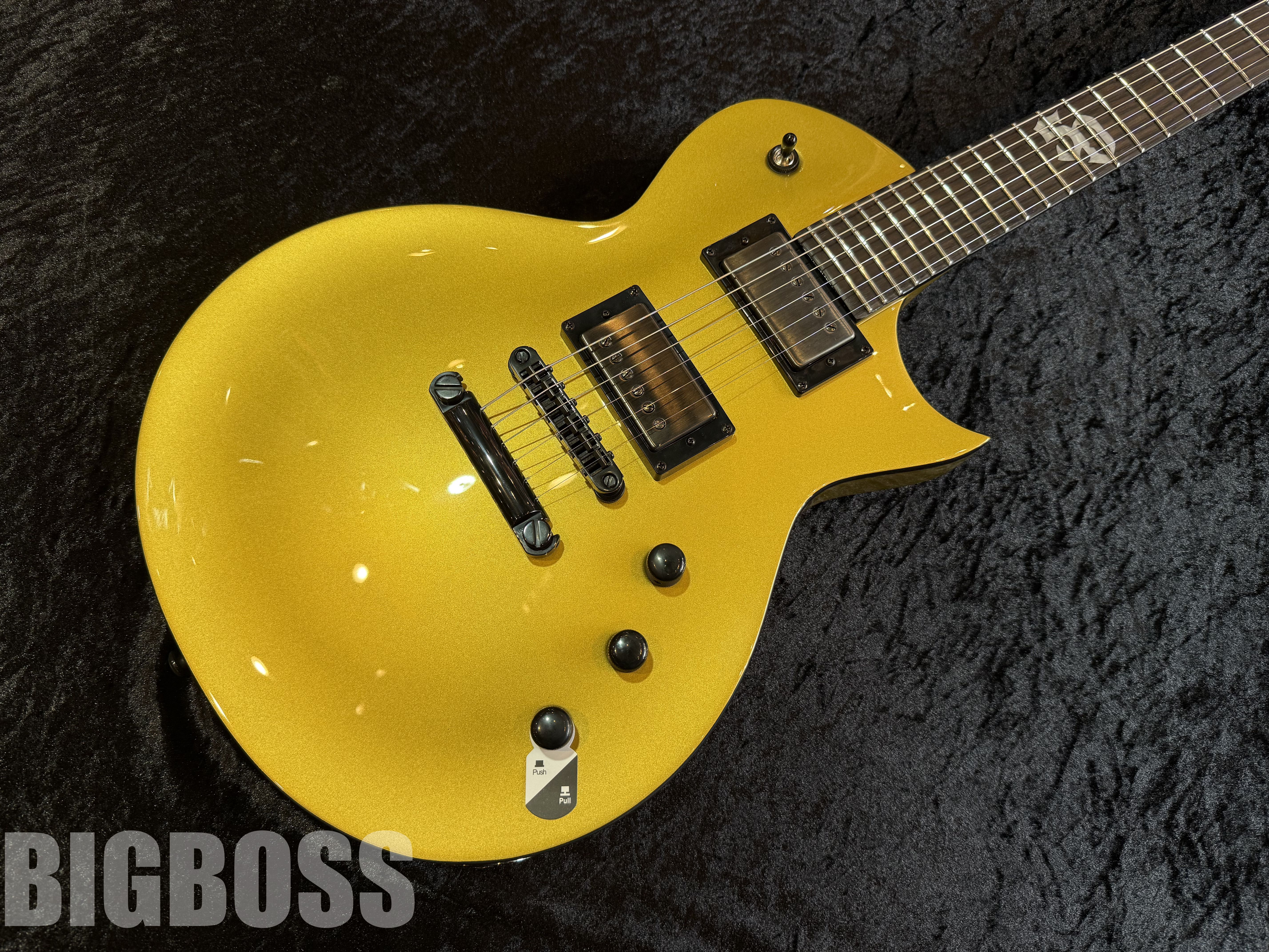 LTD　EC-2025 50th Anniversary 【Metallic Gold】　福岡店