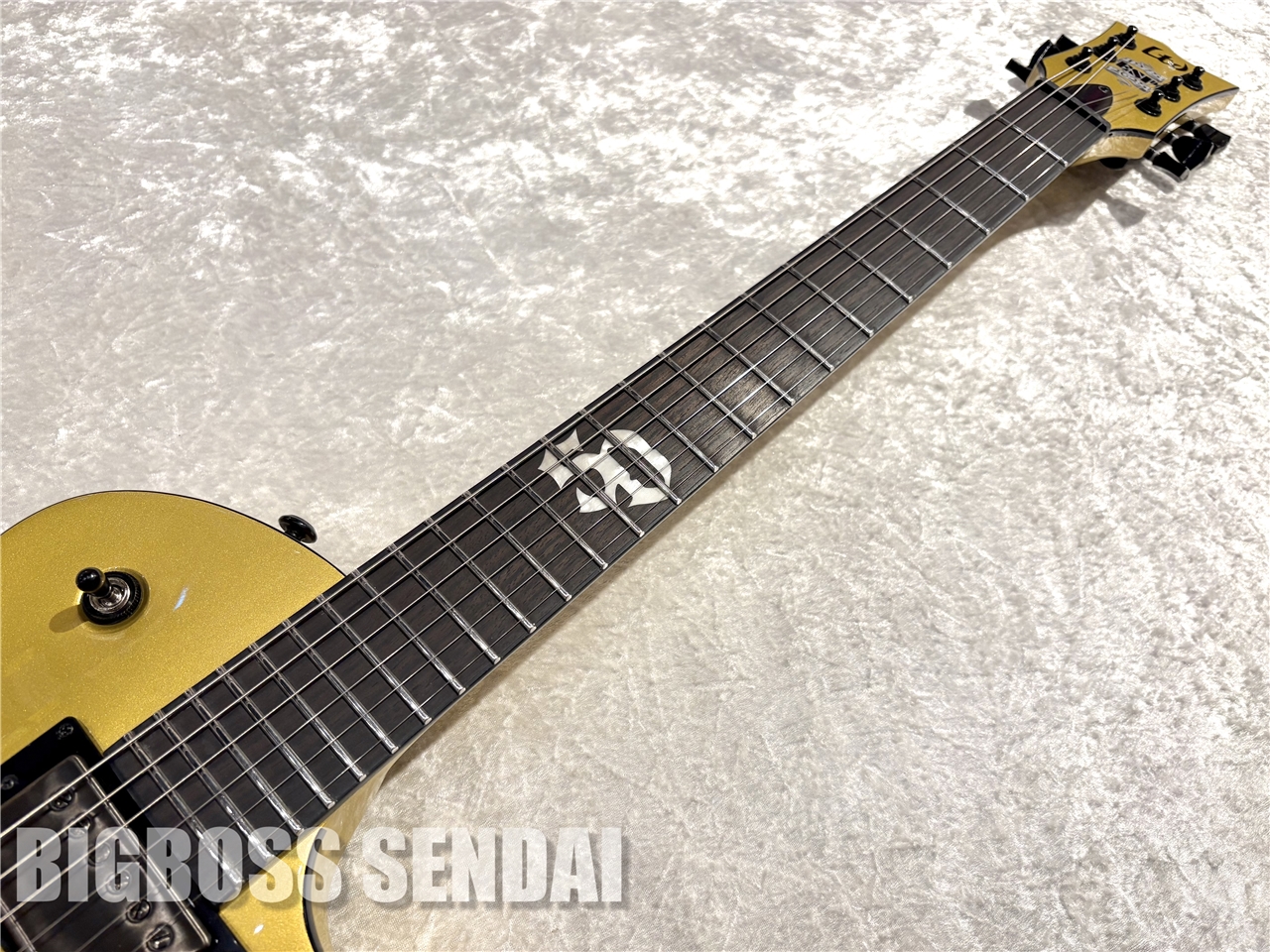 【即納可能】LTD(エルティーディー) EC-2025 50th Anniversary / Metallic Gold 仙台店