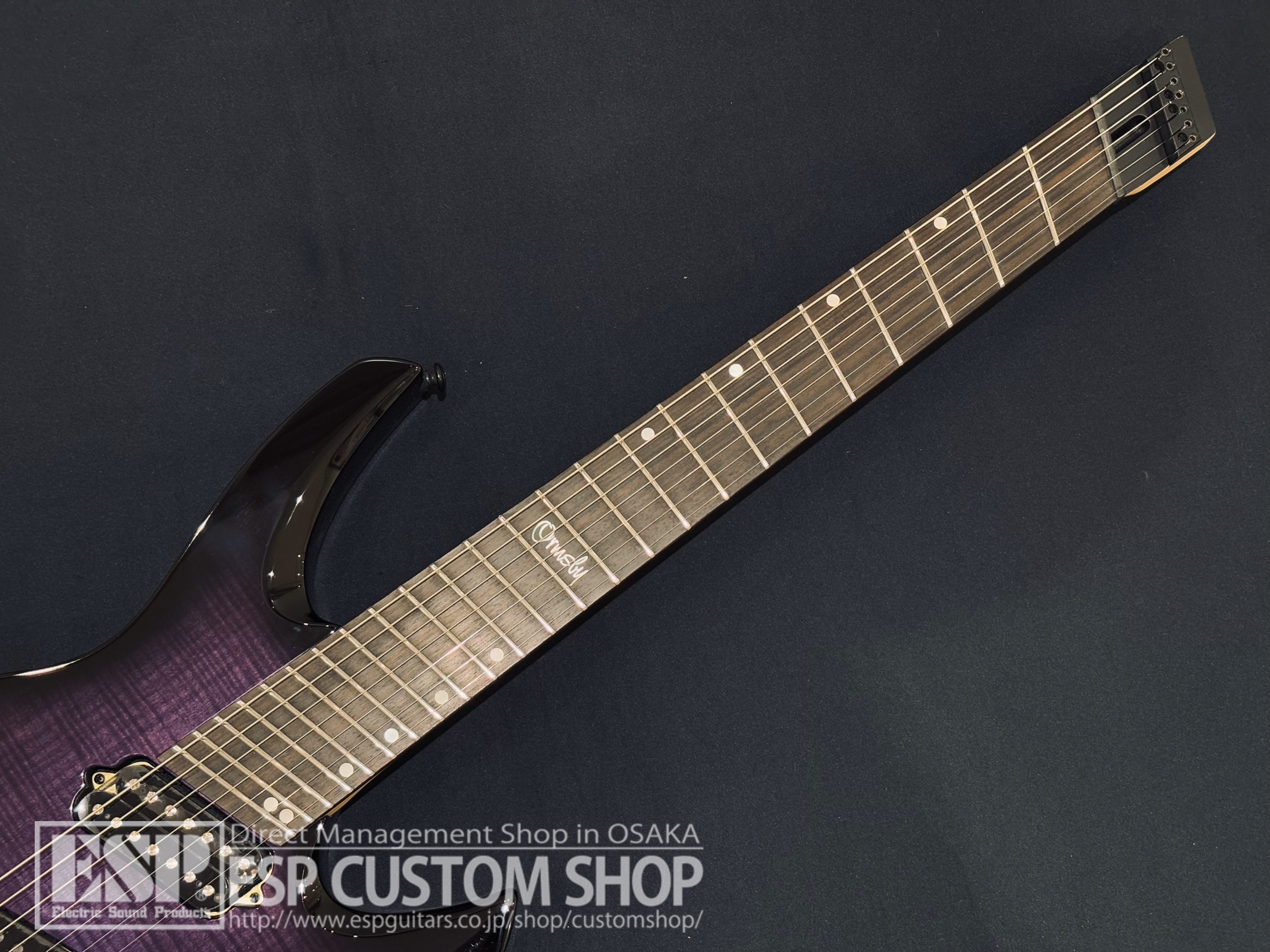 【即納可能】Ormsby Guitars GOLIATH G7 FMMH / PP 大阪店