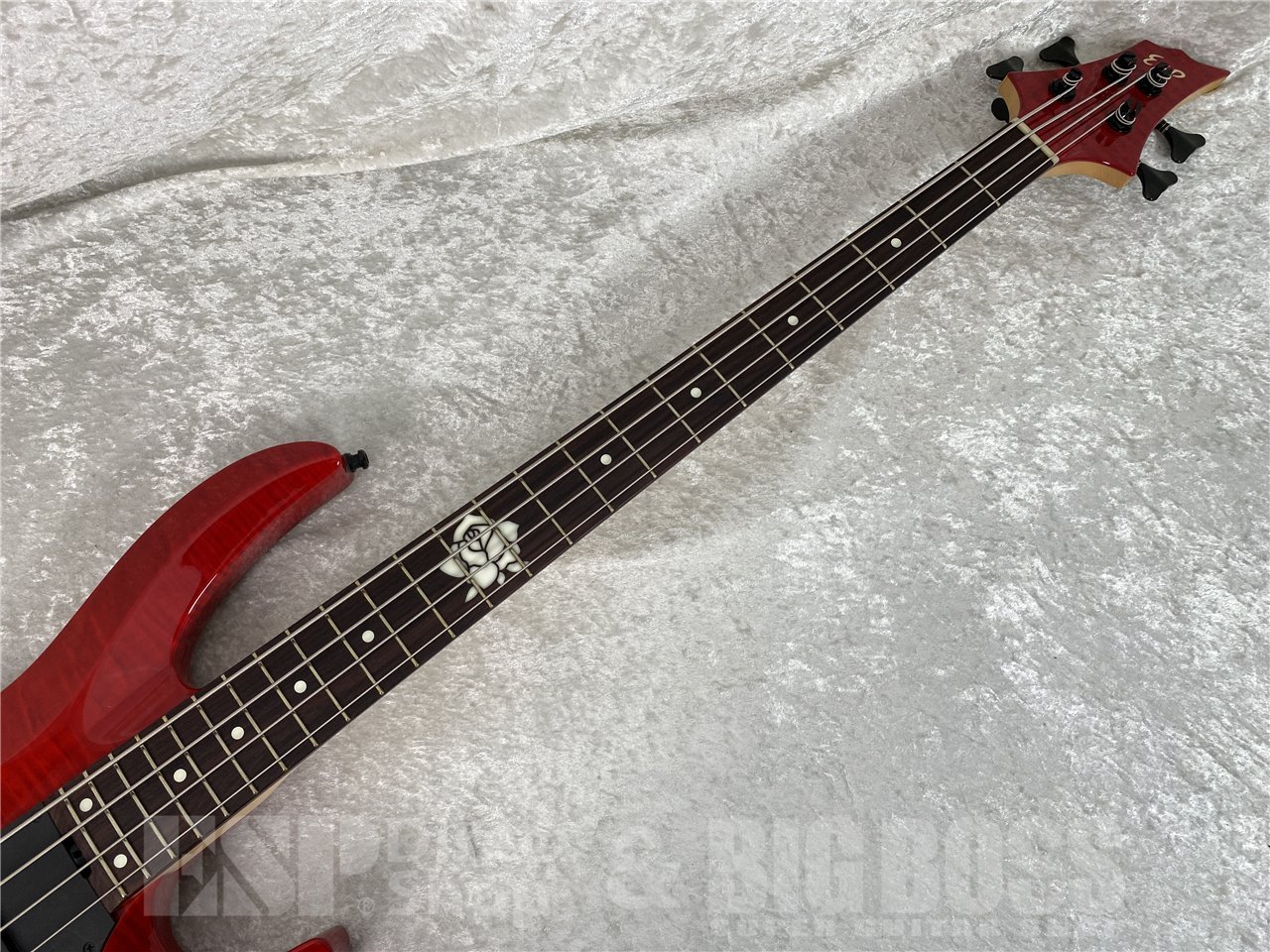 【即納可能/中古品】【ESP×BanG Dream!コラボギター】ESP(イーエスピー) BTL LISA II / Roselia 今井リサ Model お茶の水駅前店(東京) - 6