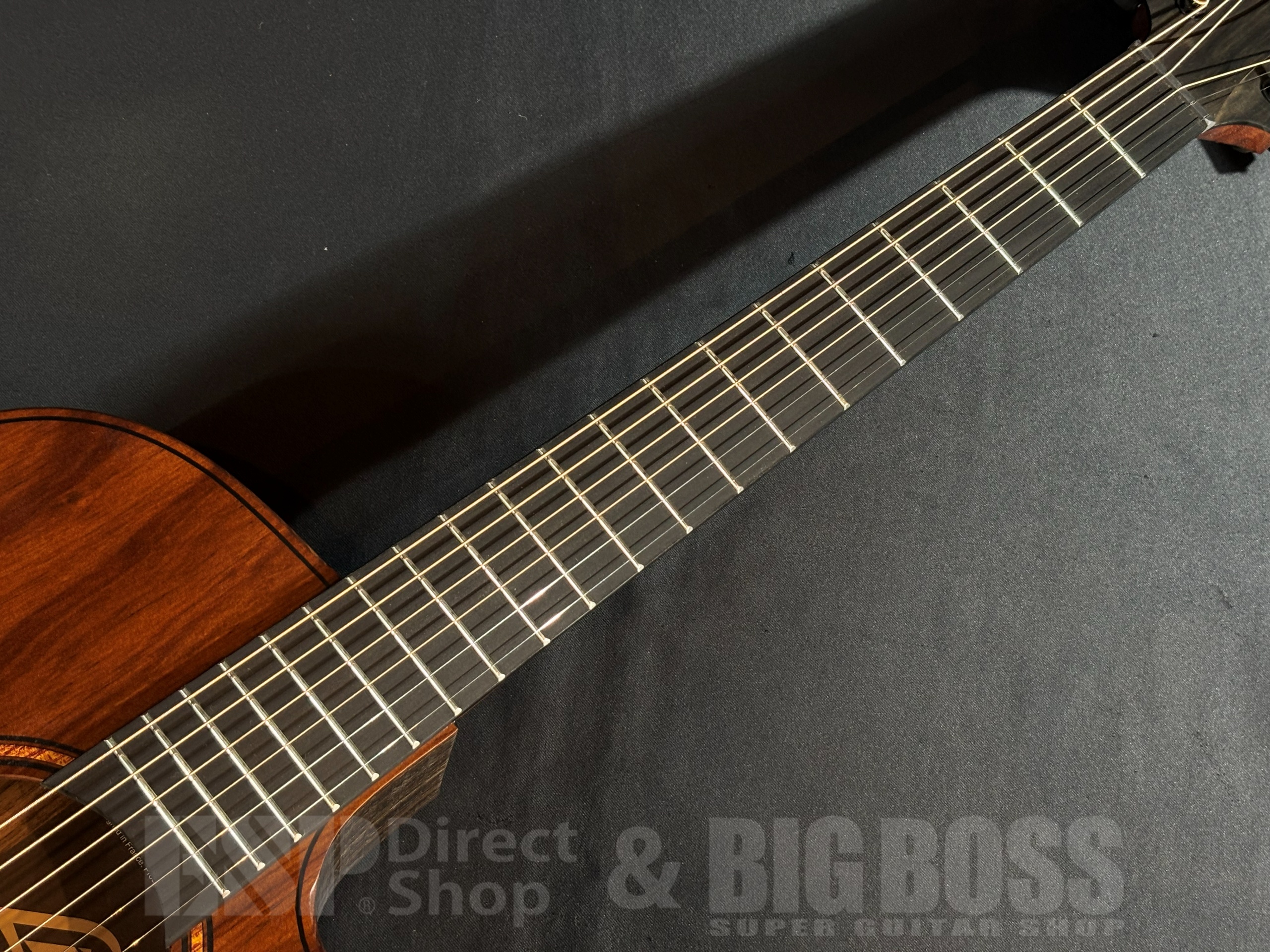 【即納可能】LAG Guitars(ラグギターズ) SAUVAGE-ACE / 大阪店 - 4