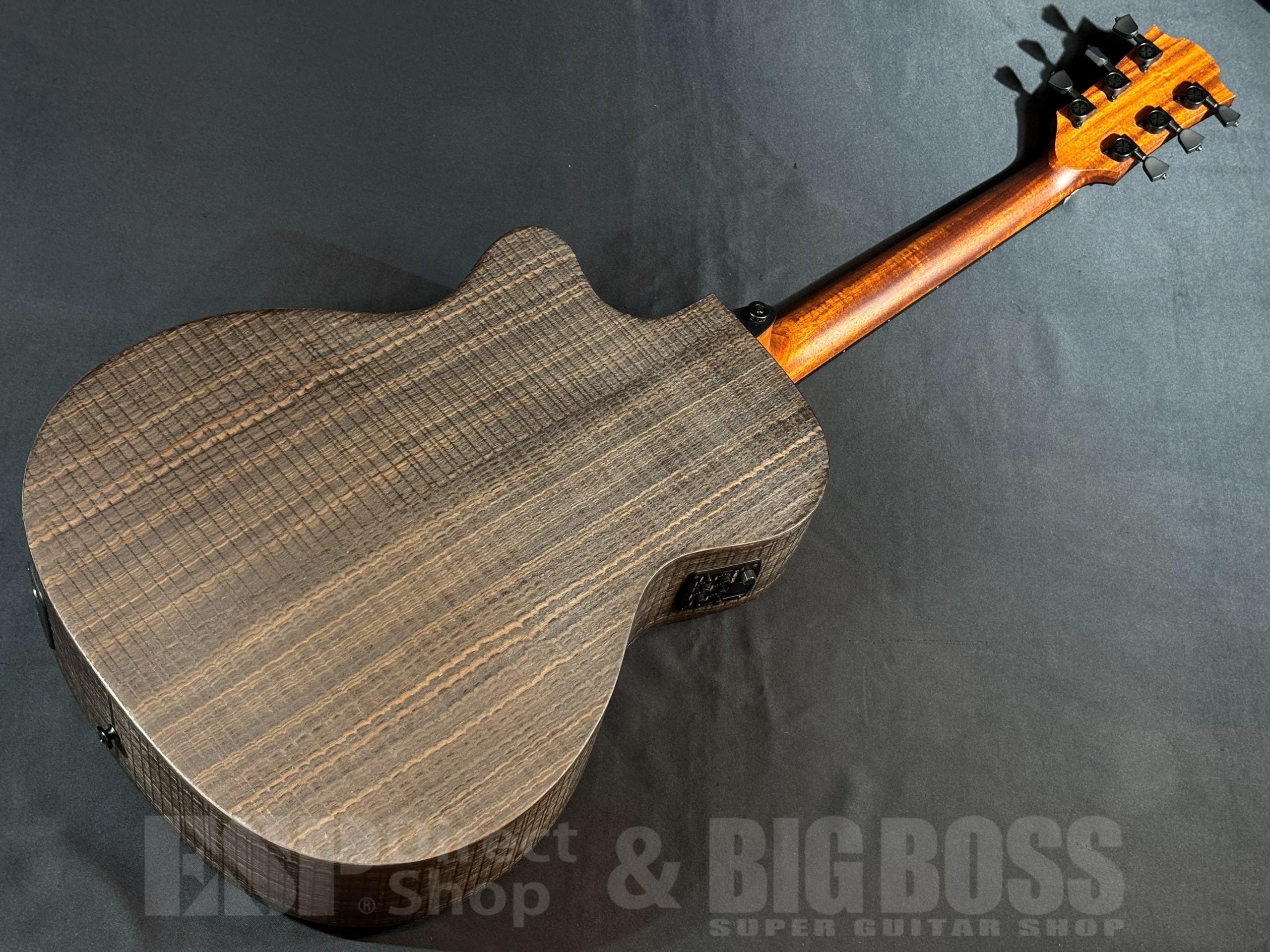 【即納可能】LAG Guitars(ラグギターズ) SAUVAGE-ACE / 大阪店 - 6